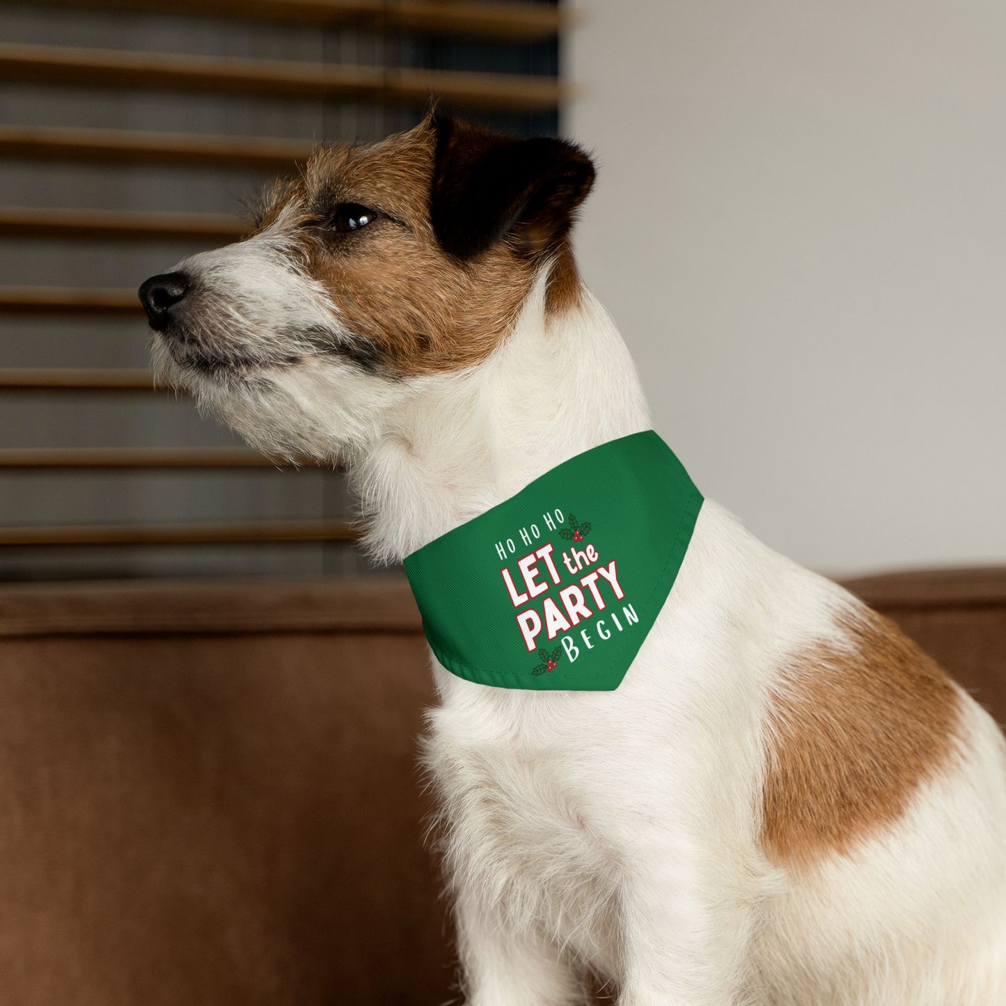 Let The Party Begin Bandana