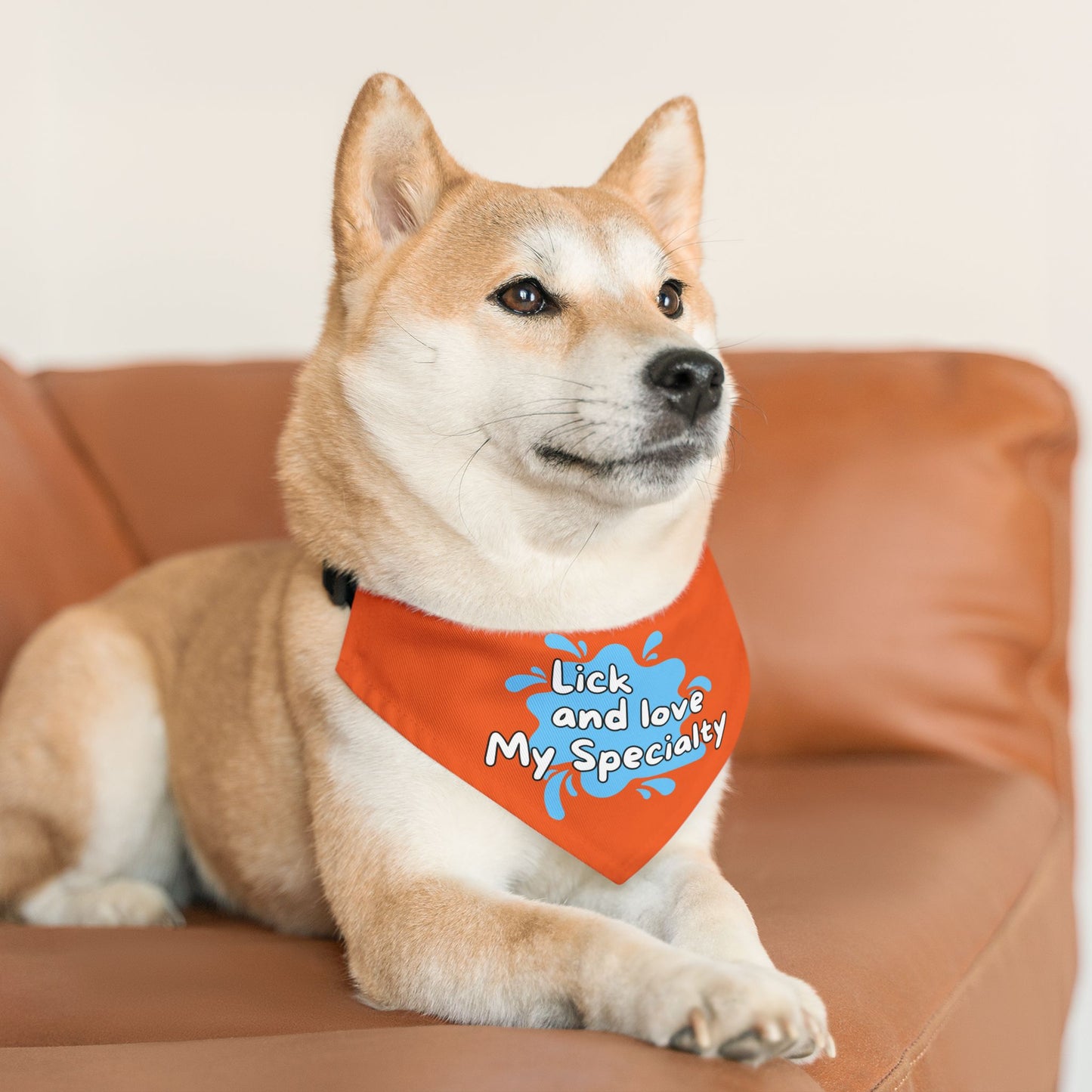 Lick And Love Bandana Collar