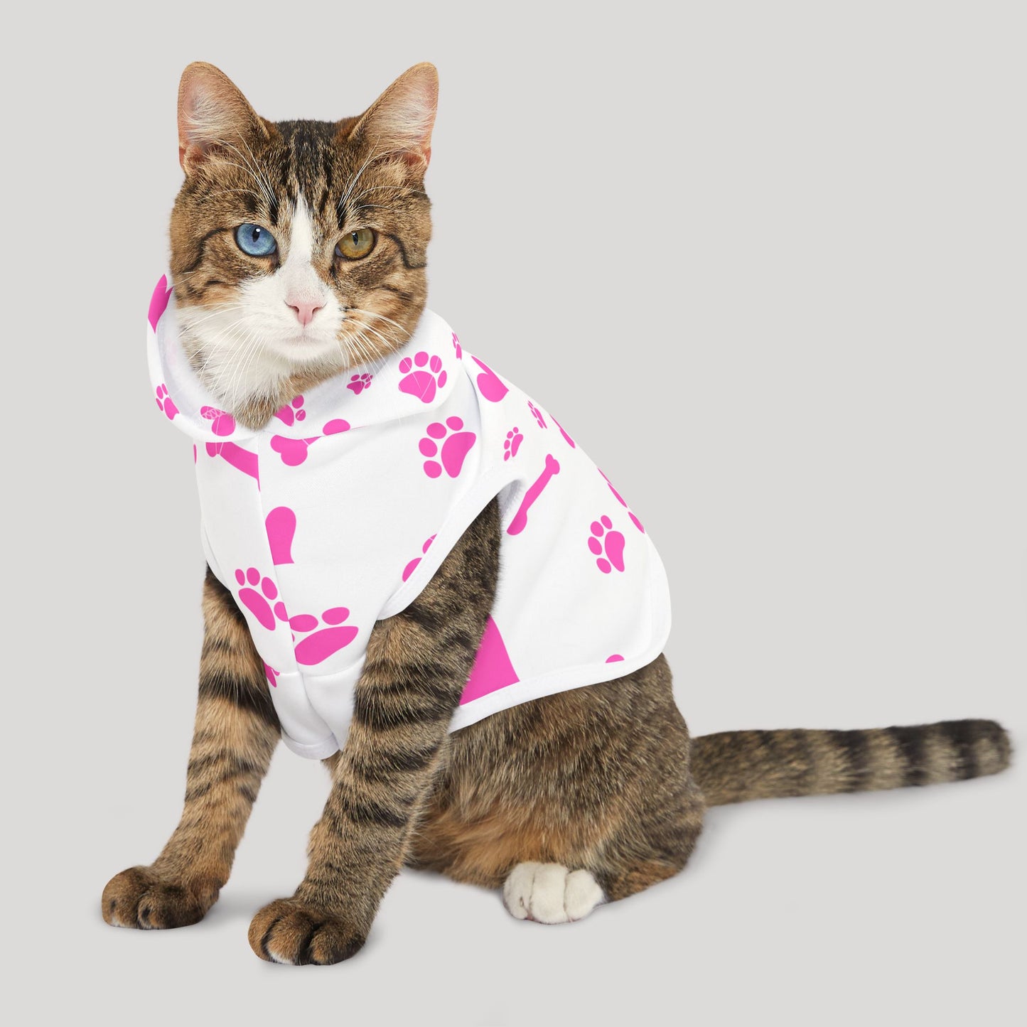 Pet Hoodie