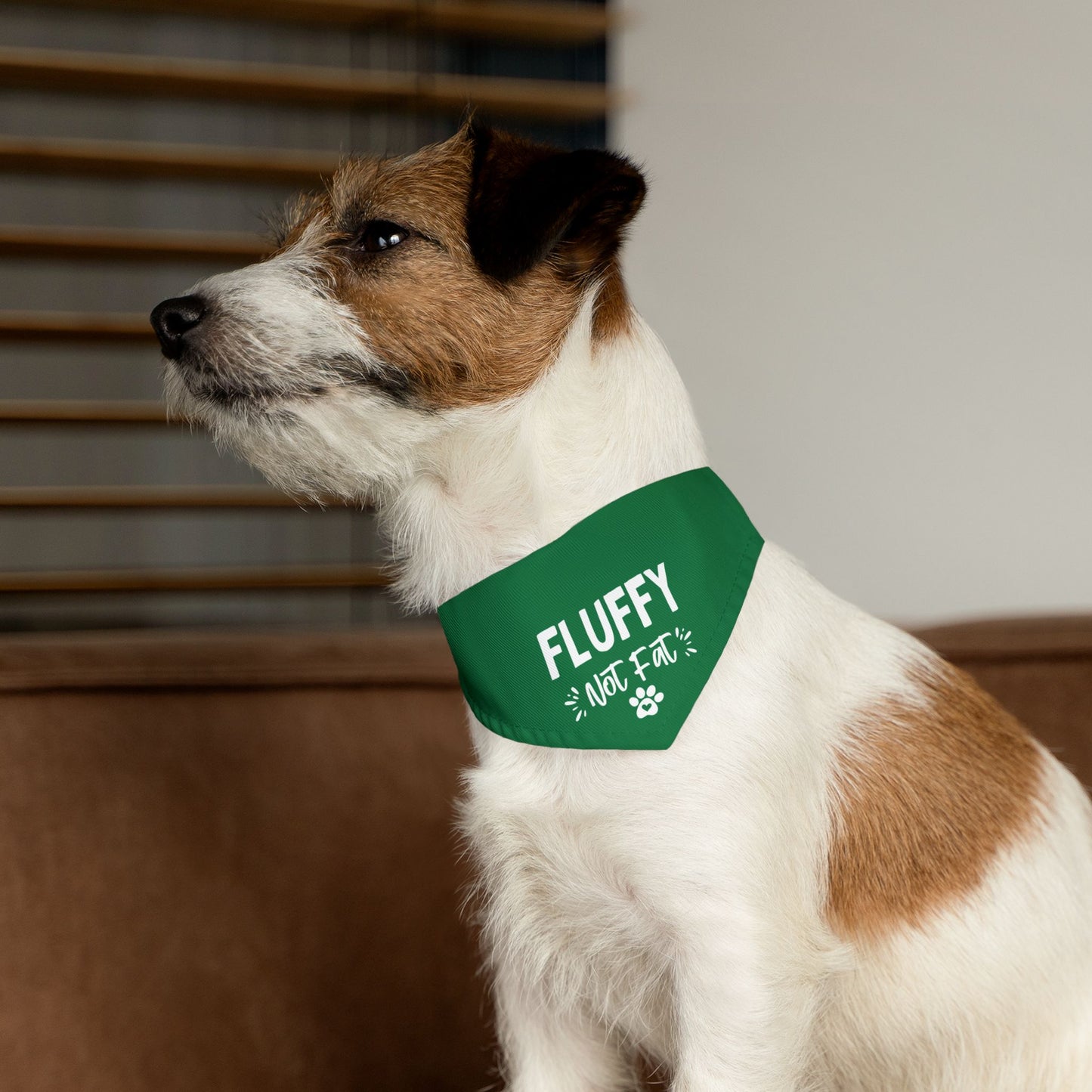 Fluffy Bandana Collar