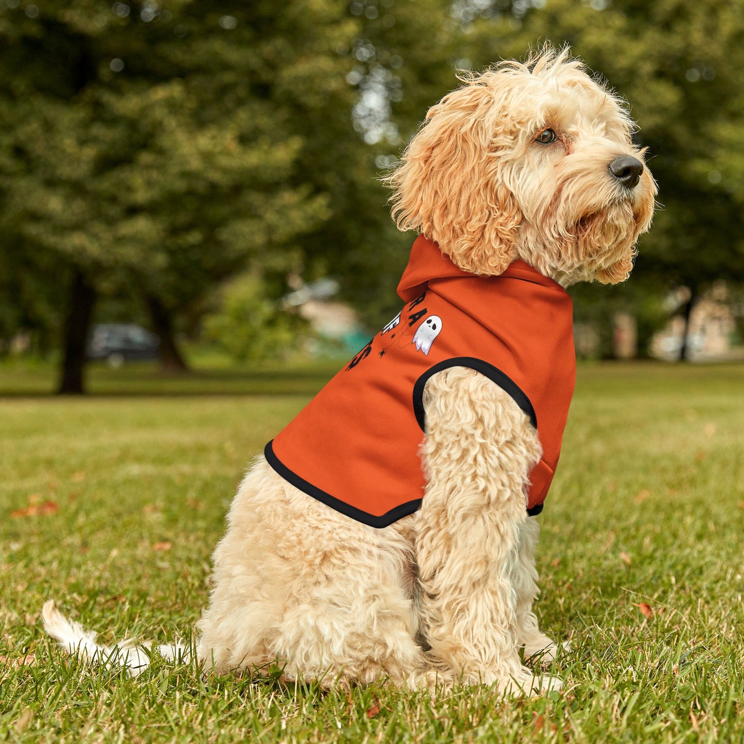 Night Frights Pet Hoodie