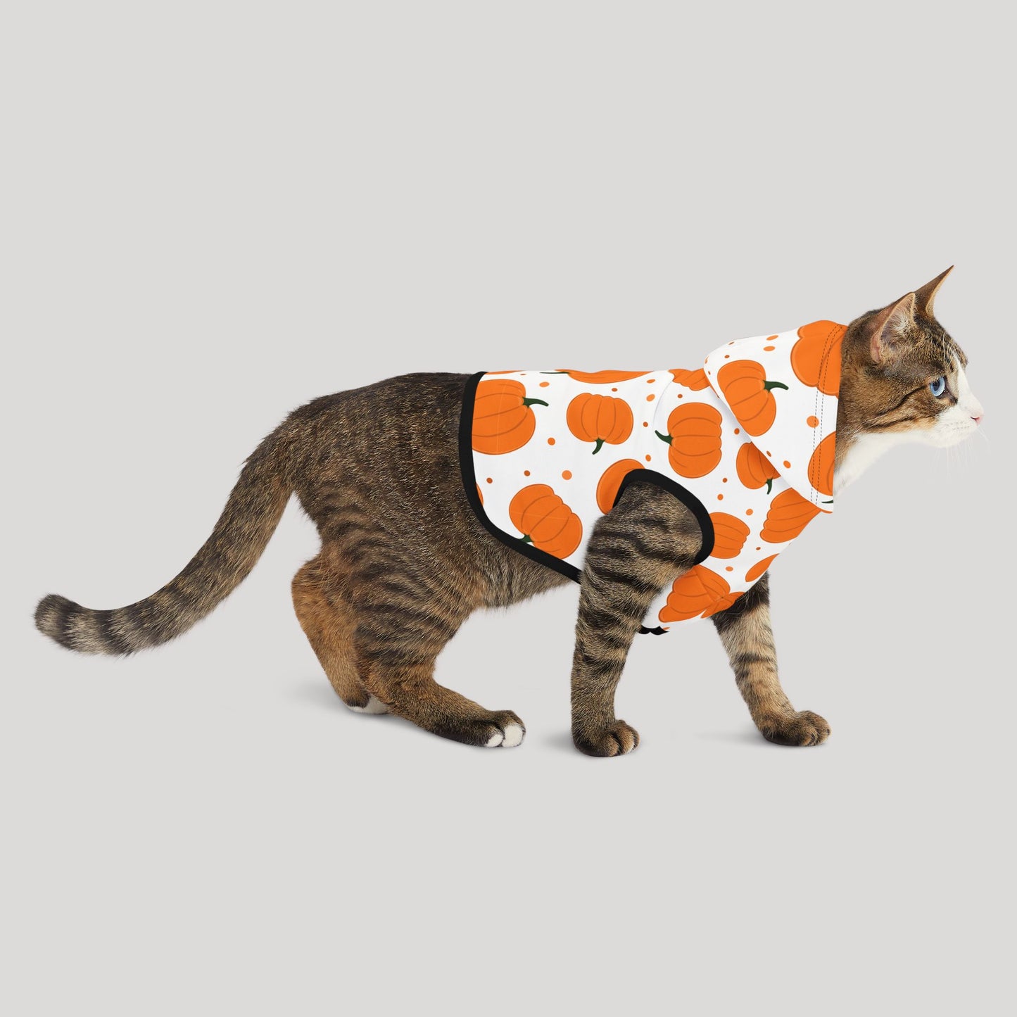 Pumpkin Pet Hoodie