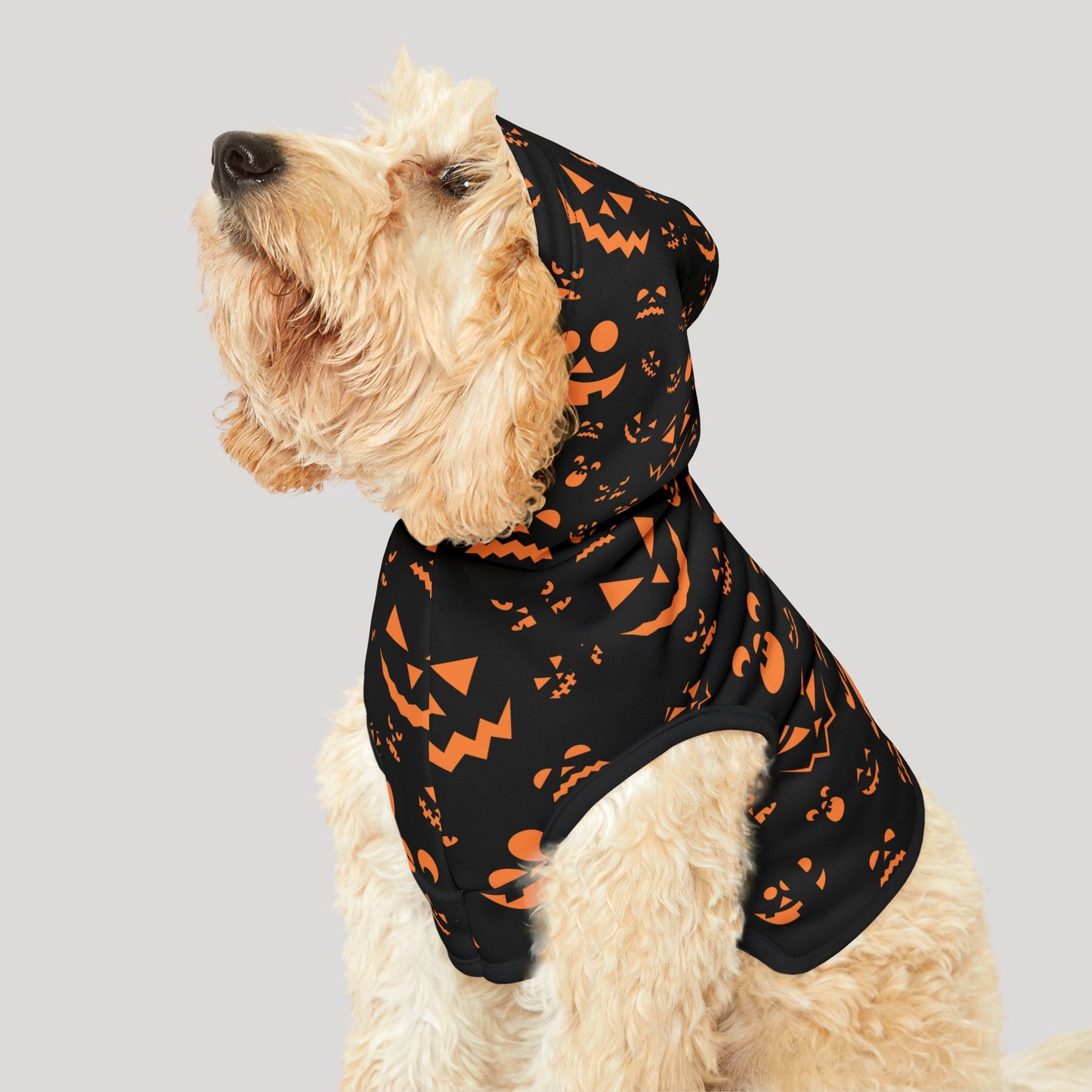 Halloween Pet Hoodie