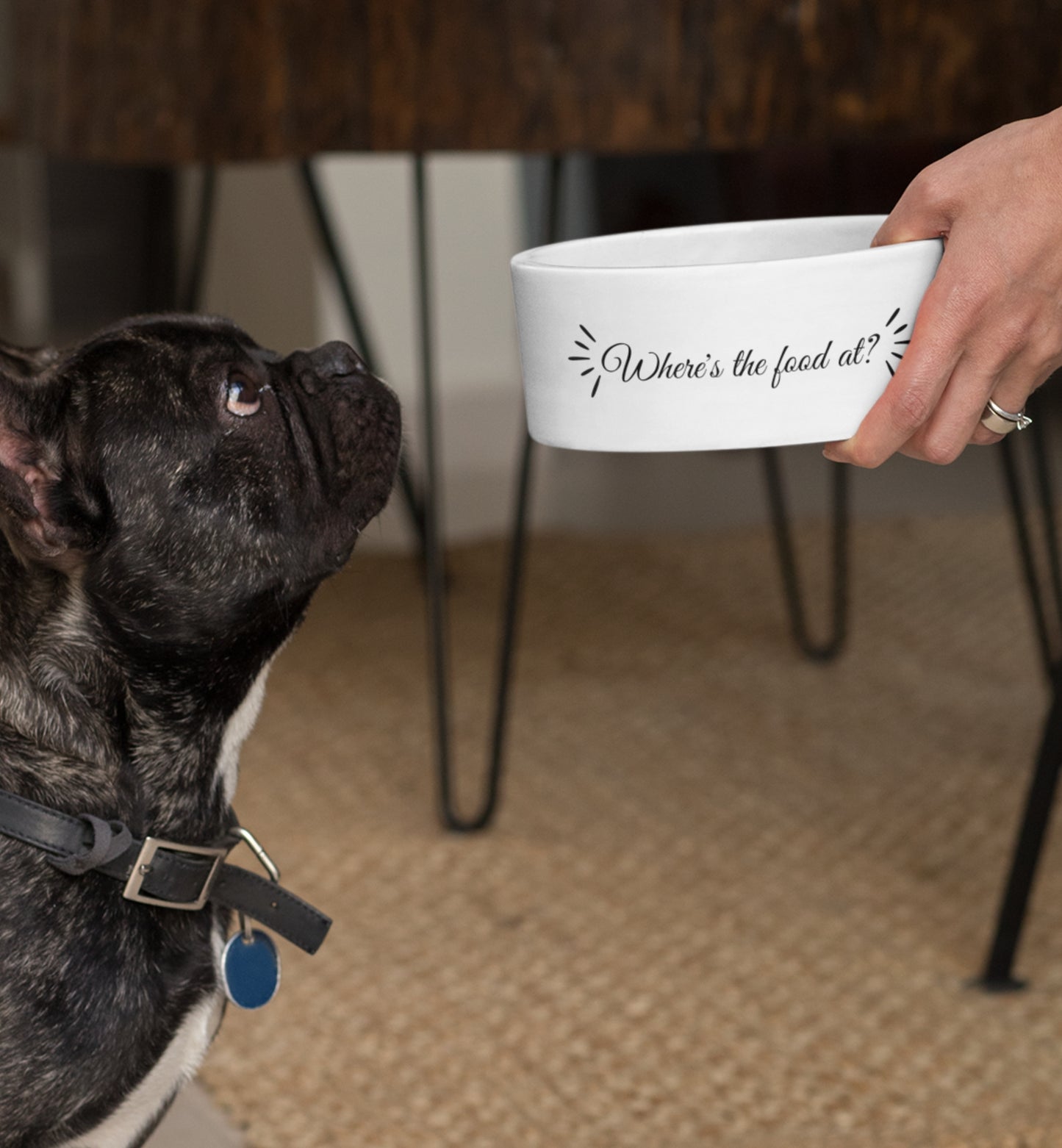 Pet Bowl
