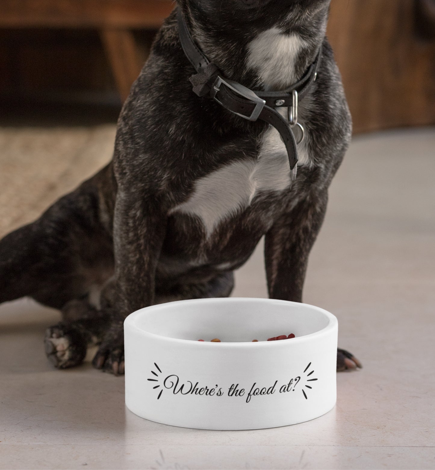 Pet Bowl