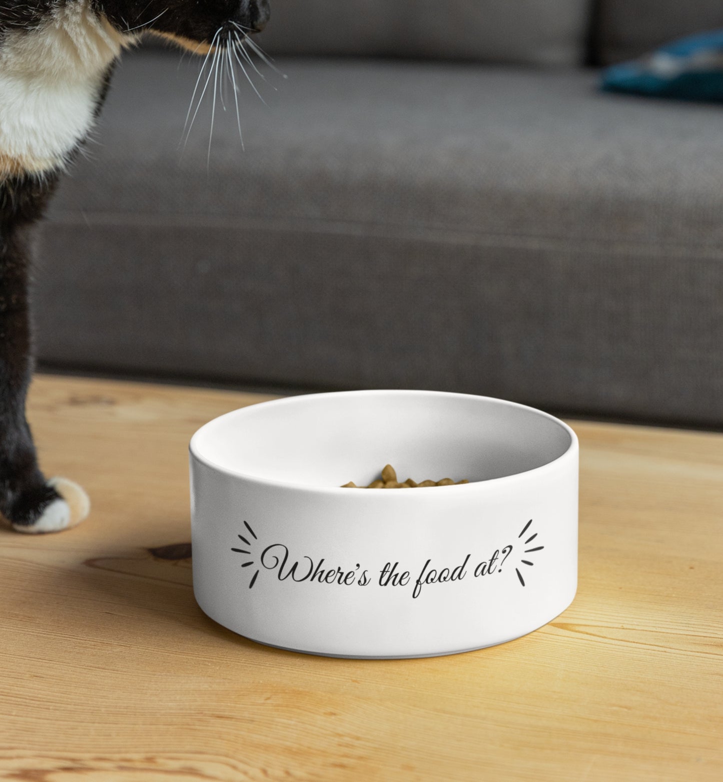 Pet Bowl