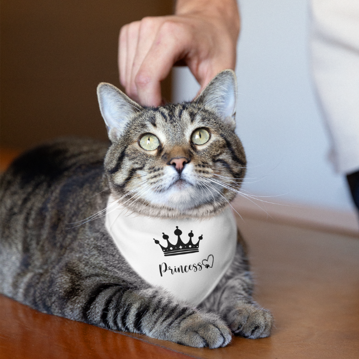 Pet Bandana