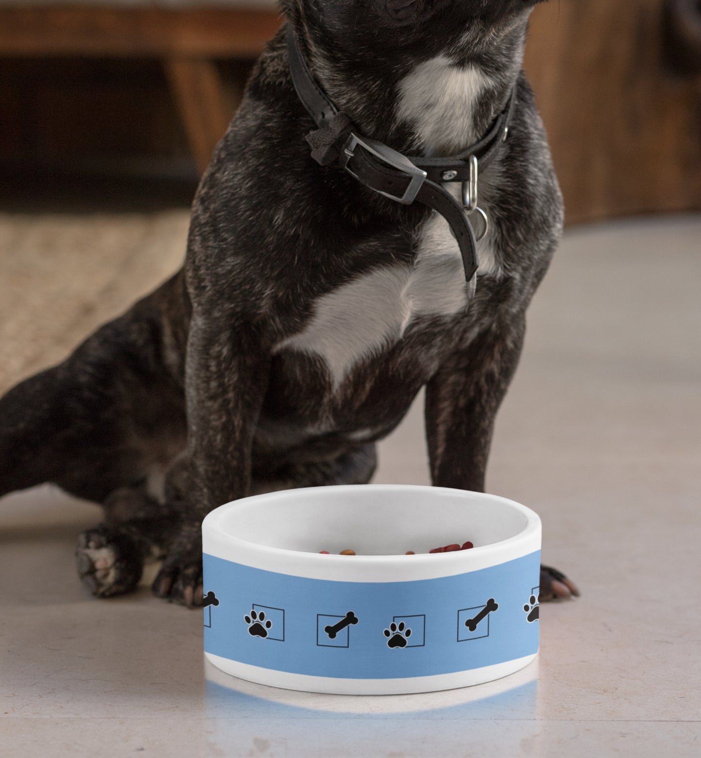 Pet Bowl