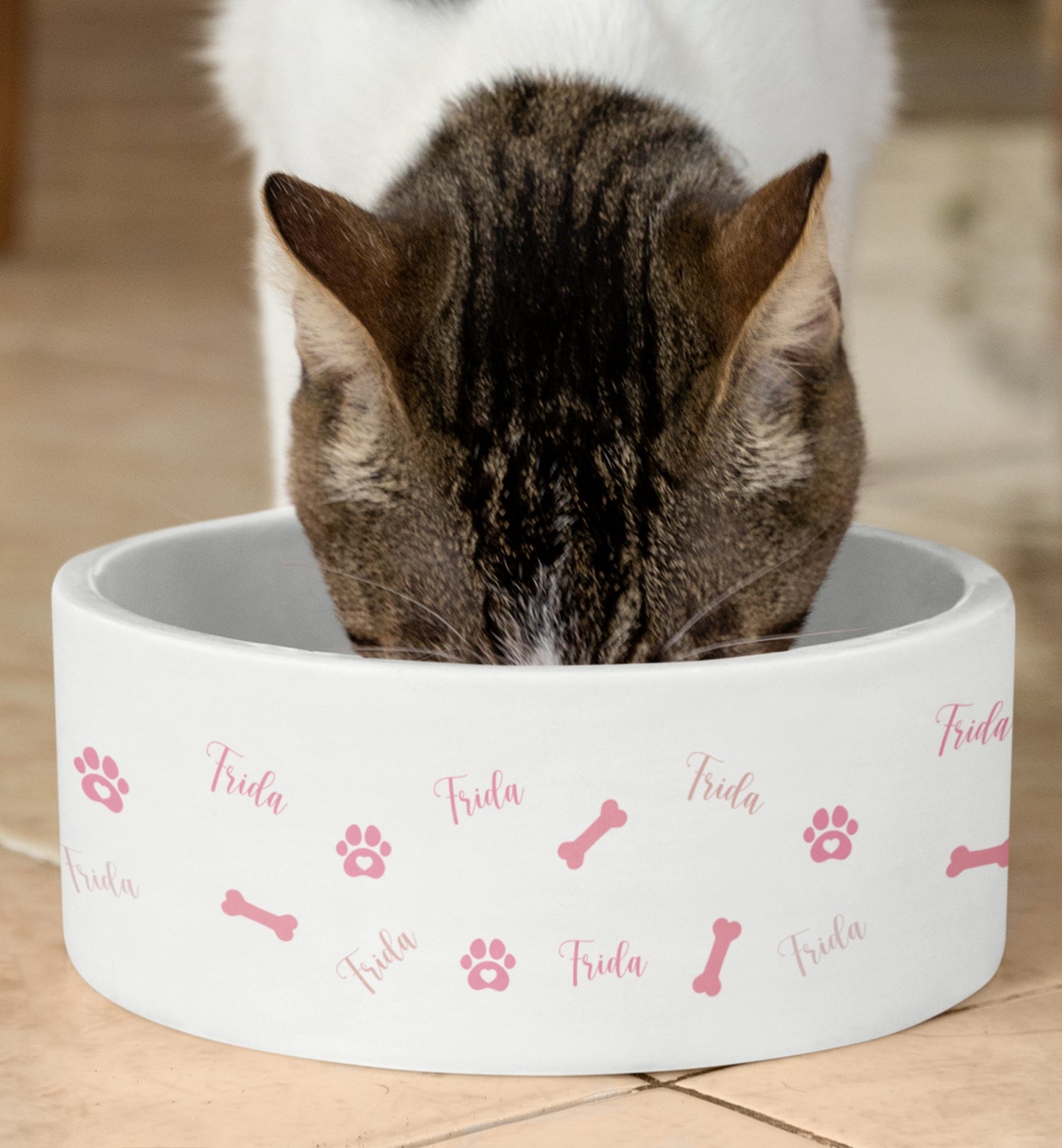 Personalized Pet Name Bowl