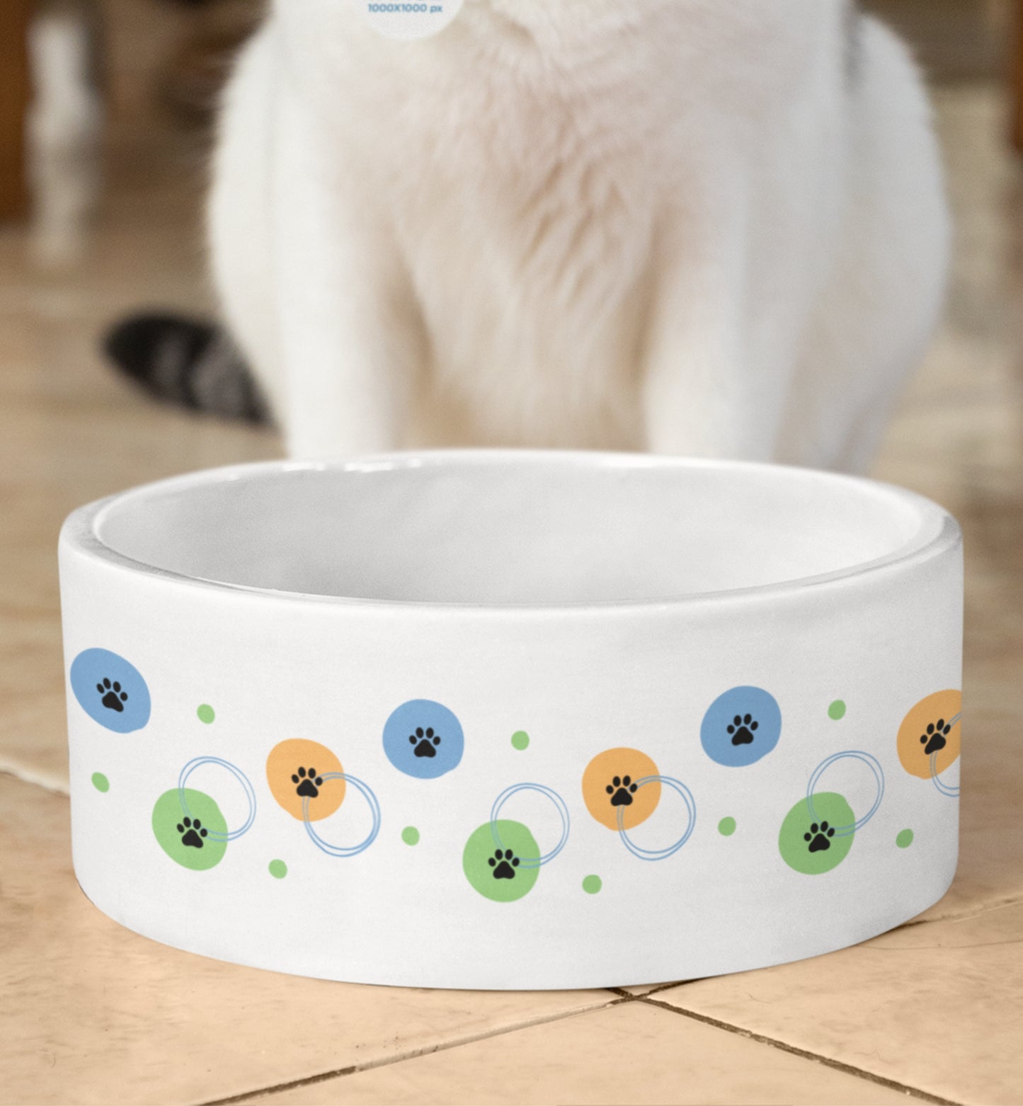 Pet Bowl