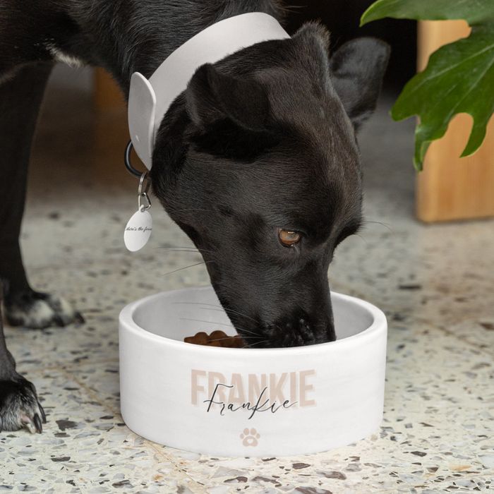 Personalized Pet Bowl
