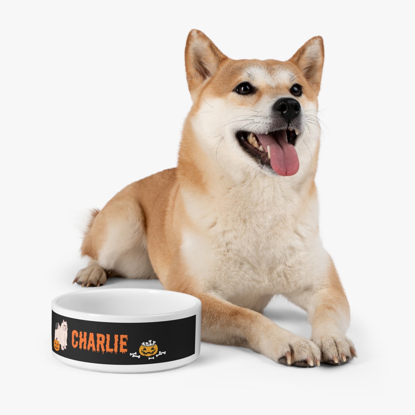 Personalized Pet Name Bowl