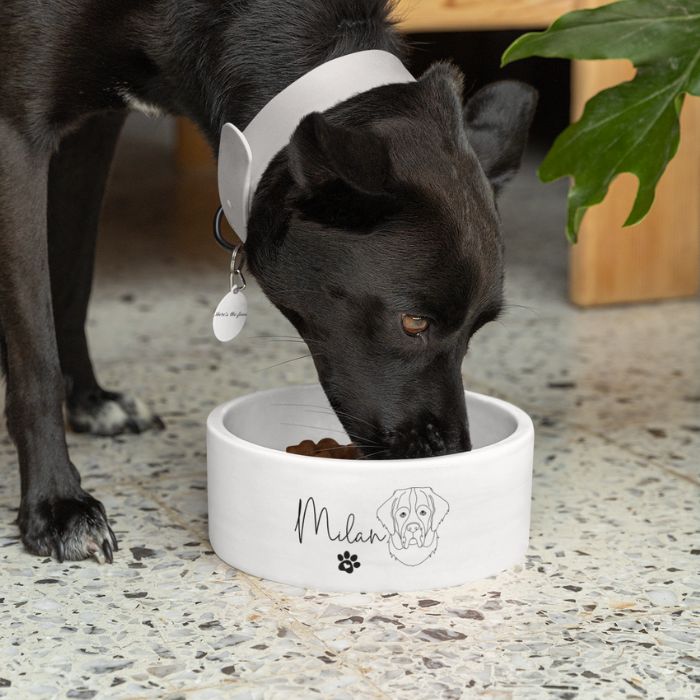 Personalized Pet Bowl
