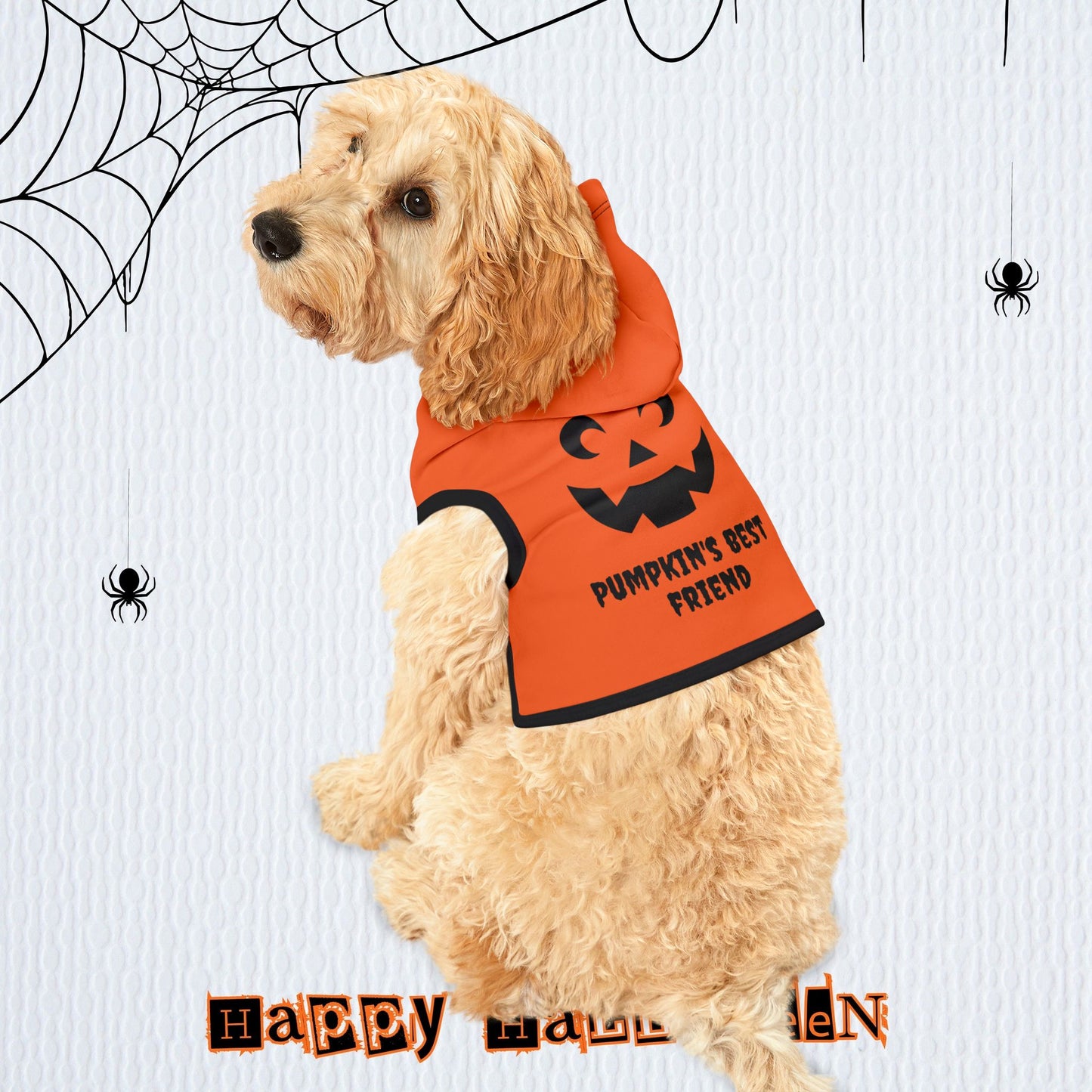 Pumpkin's Best Friend Pet Hoodie