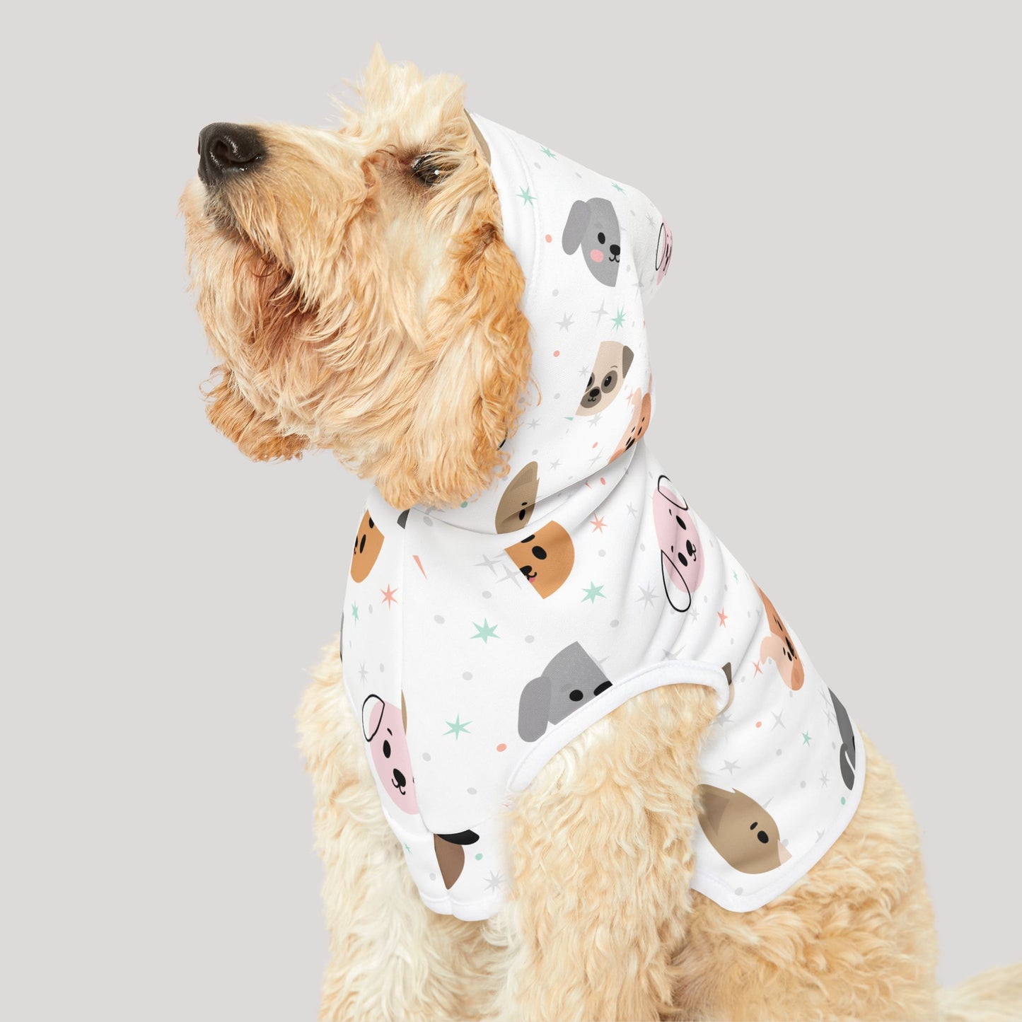 Pet Hoodie