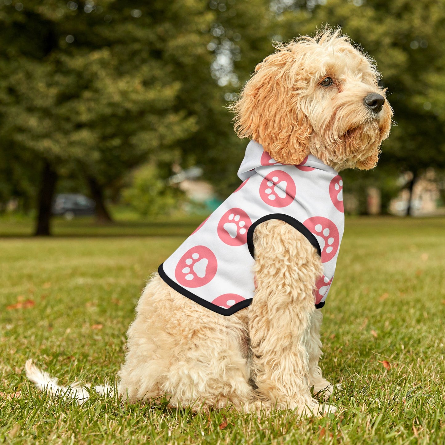Paws Hoodie