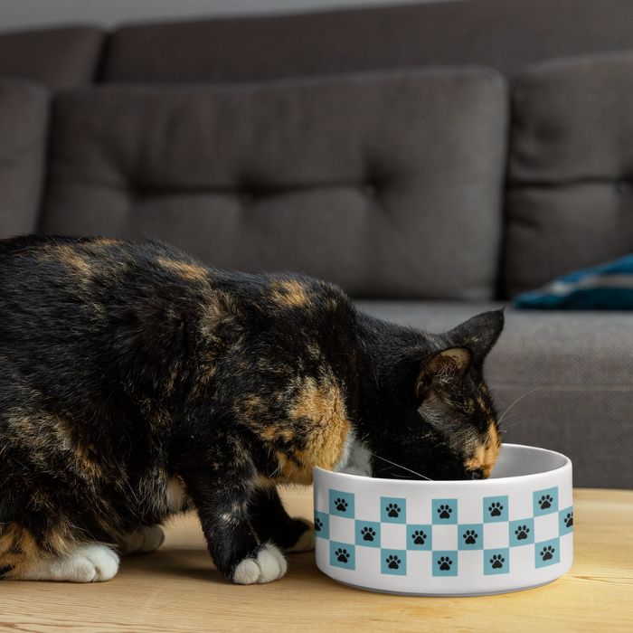Pet Bowl
