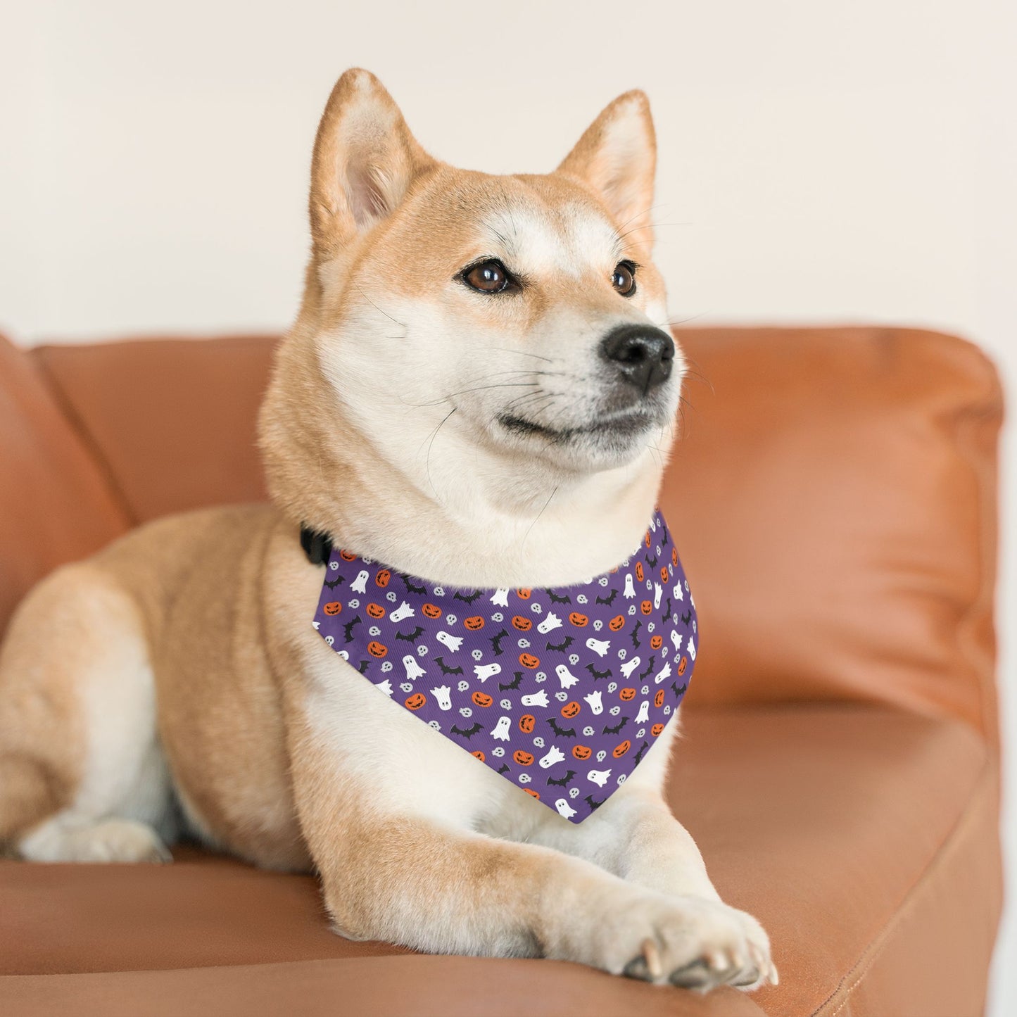 Halloween Pet Bandana Collar