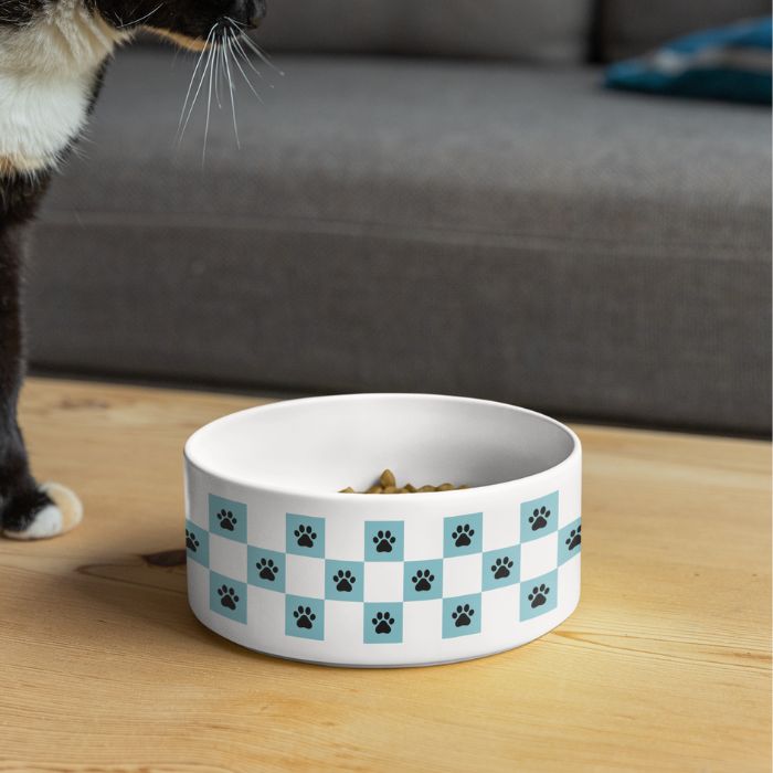 Pet Bowl