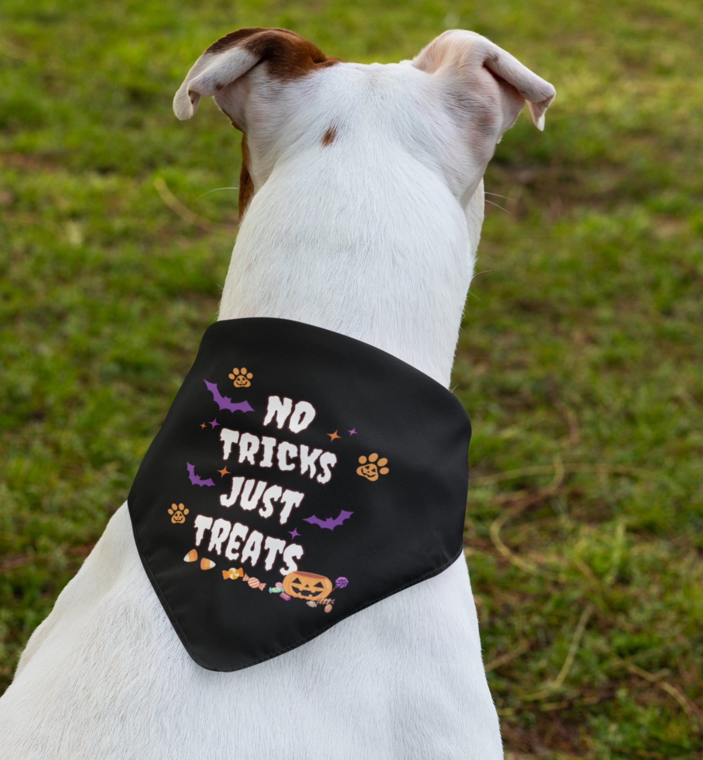 No Trick Pet Bandana