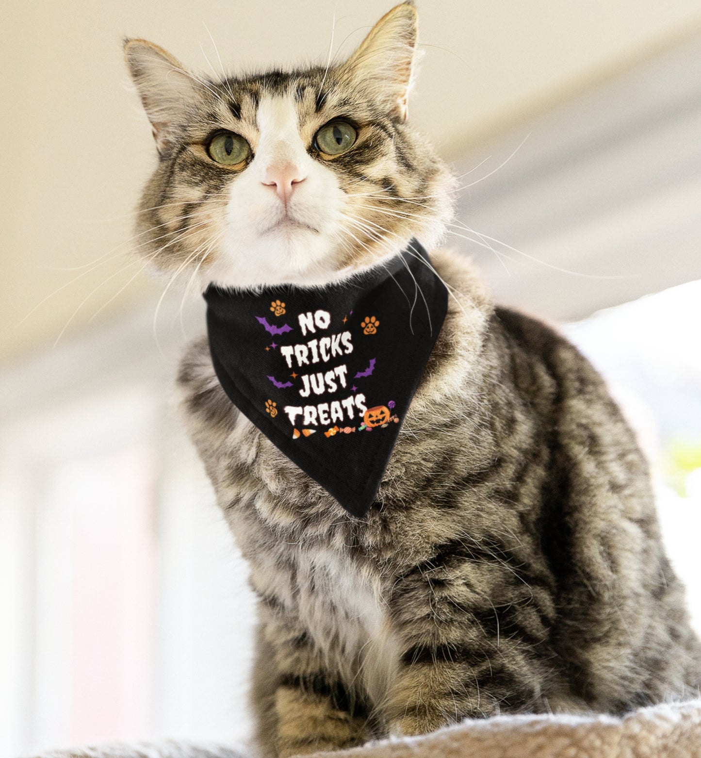 No Trick Pet Bandana