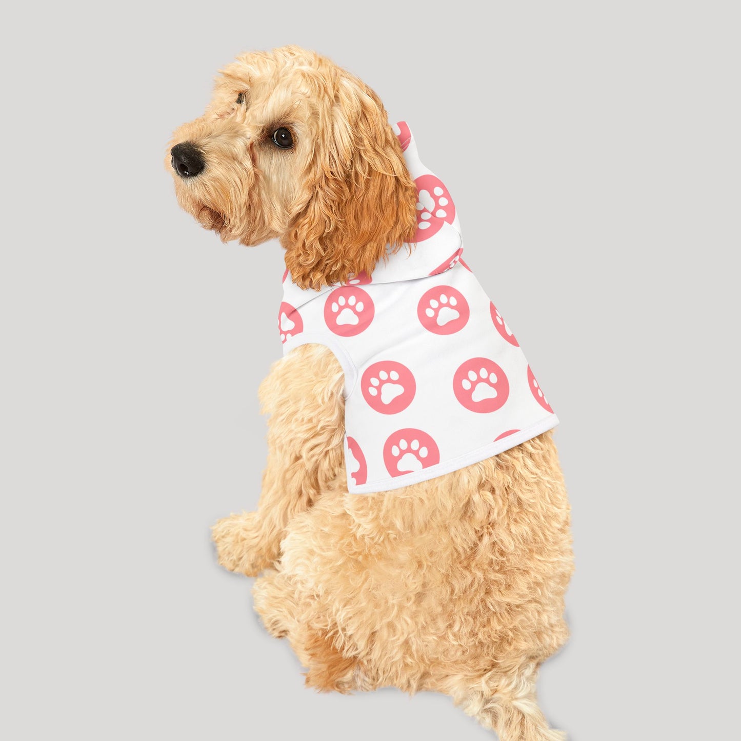Paws Hoodie