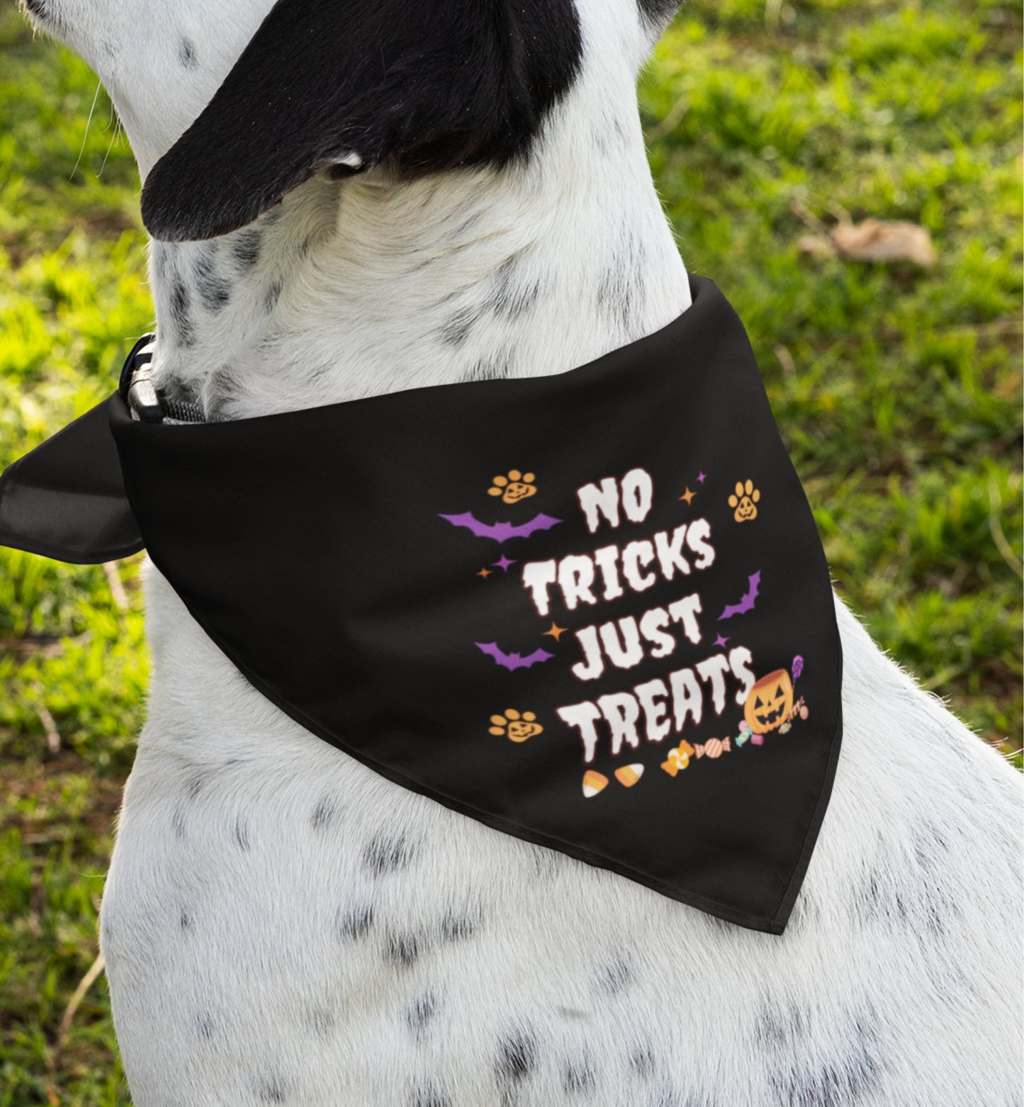 No Trick Pet Bandana