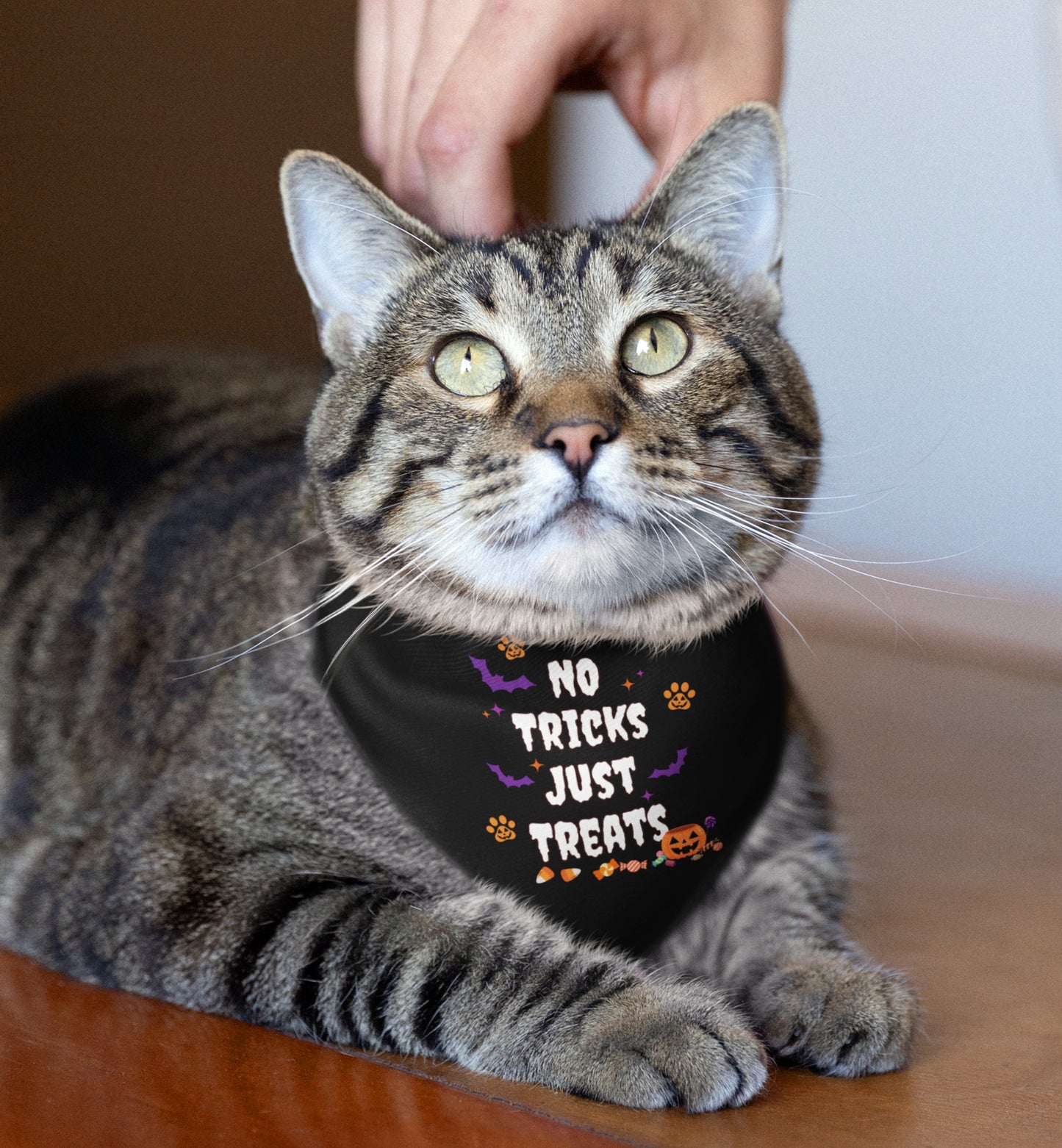 No Trick Pet Bandana