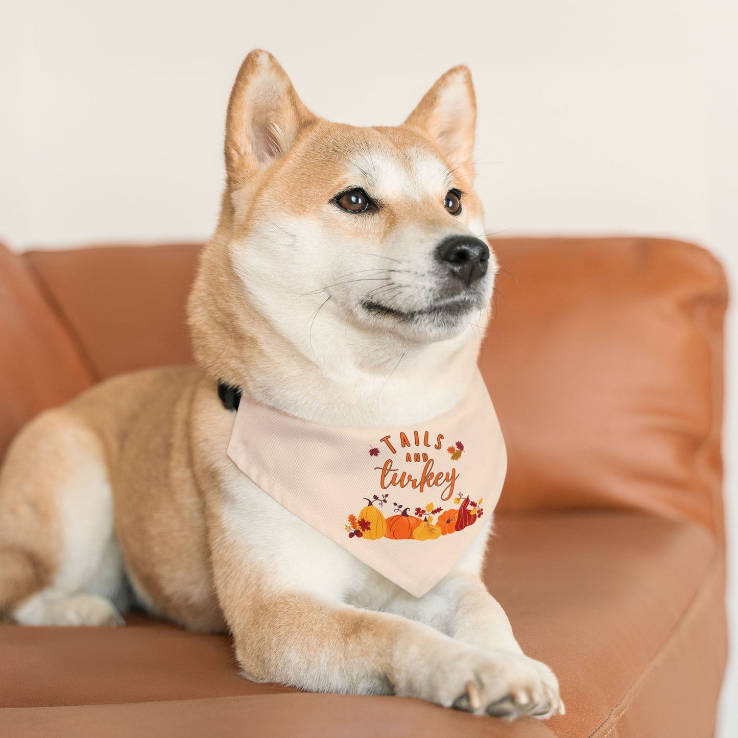 Tails and Turkey Pet Bandana Collar