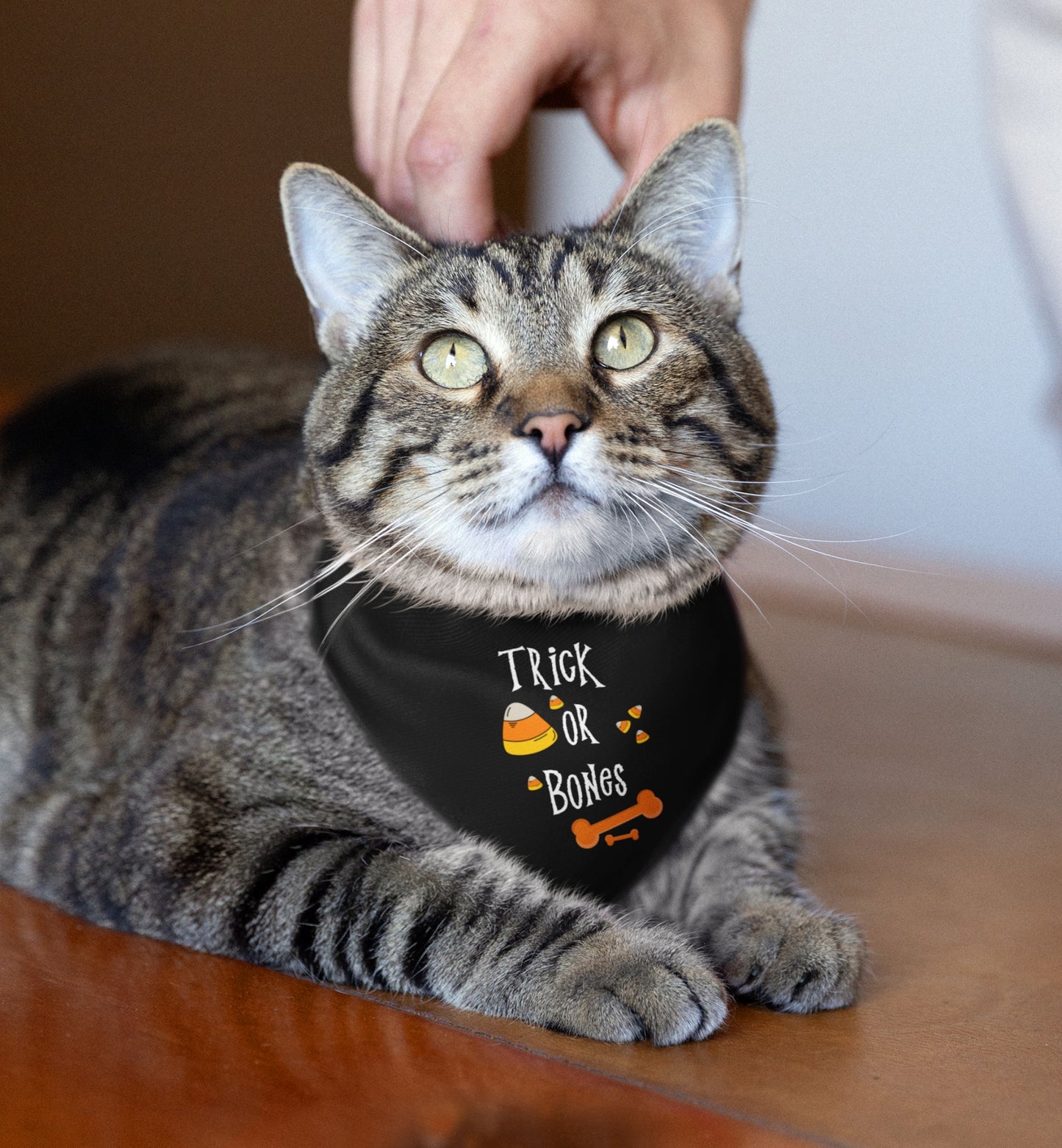 Halloween Bones Pet Bandana Collar
