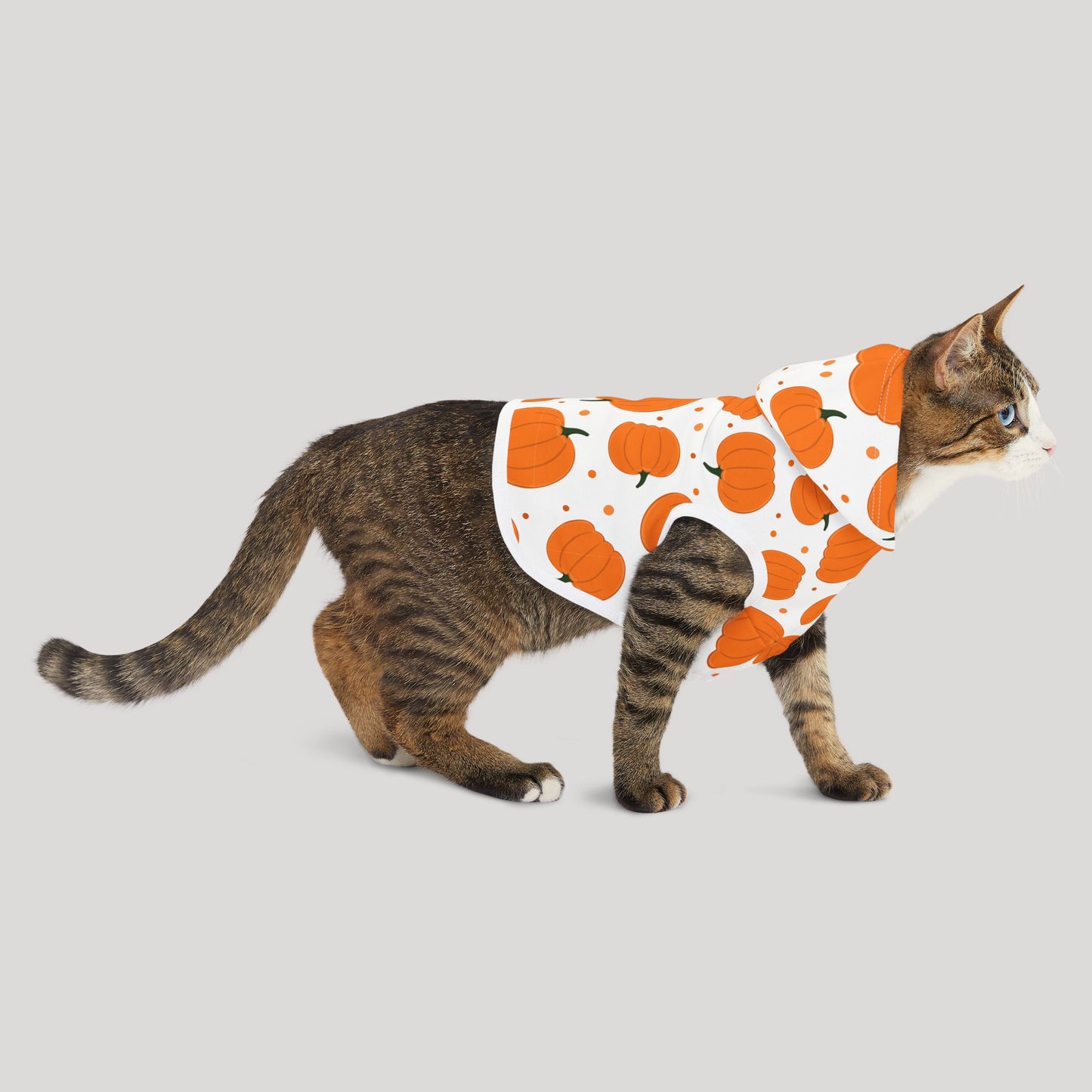 Pumpkin Pet Hoodie