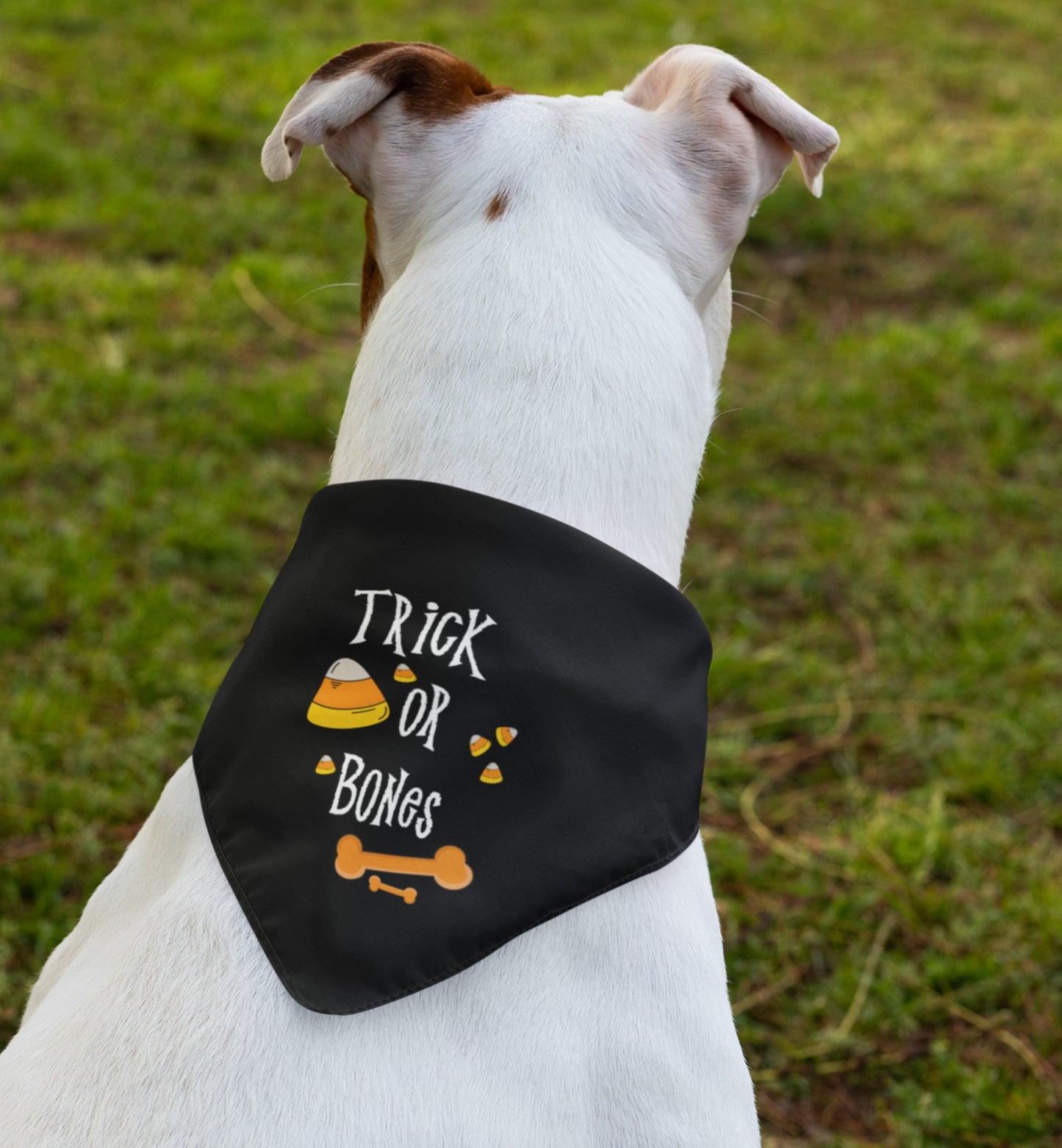 Halloween Bones Pet Bandana Collar