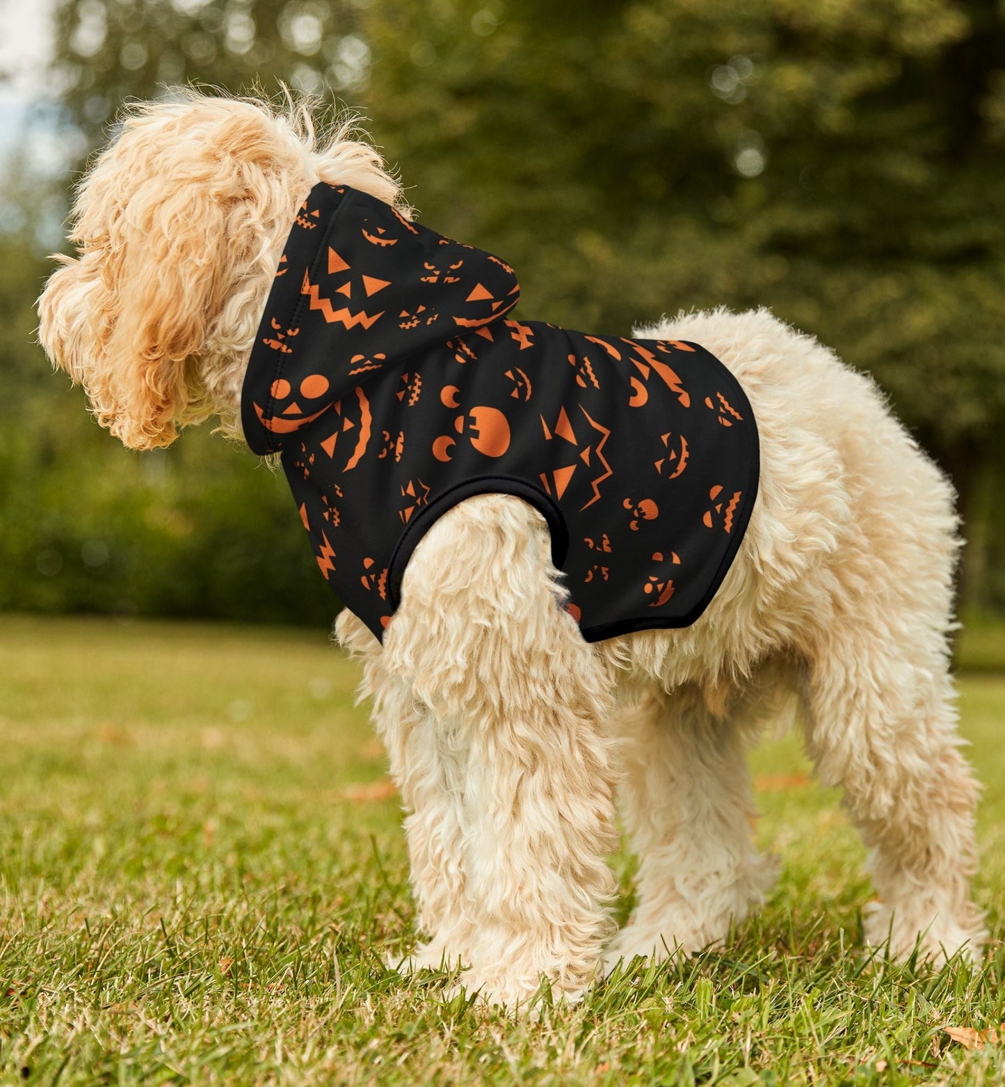Halloween Pet Hoodie
