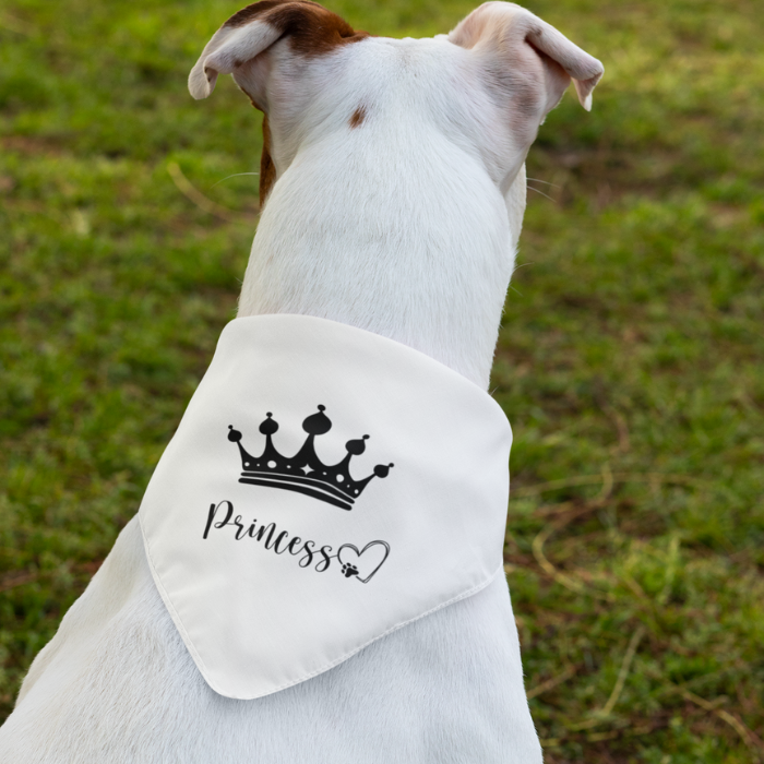Pet Bandana