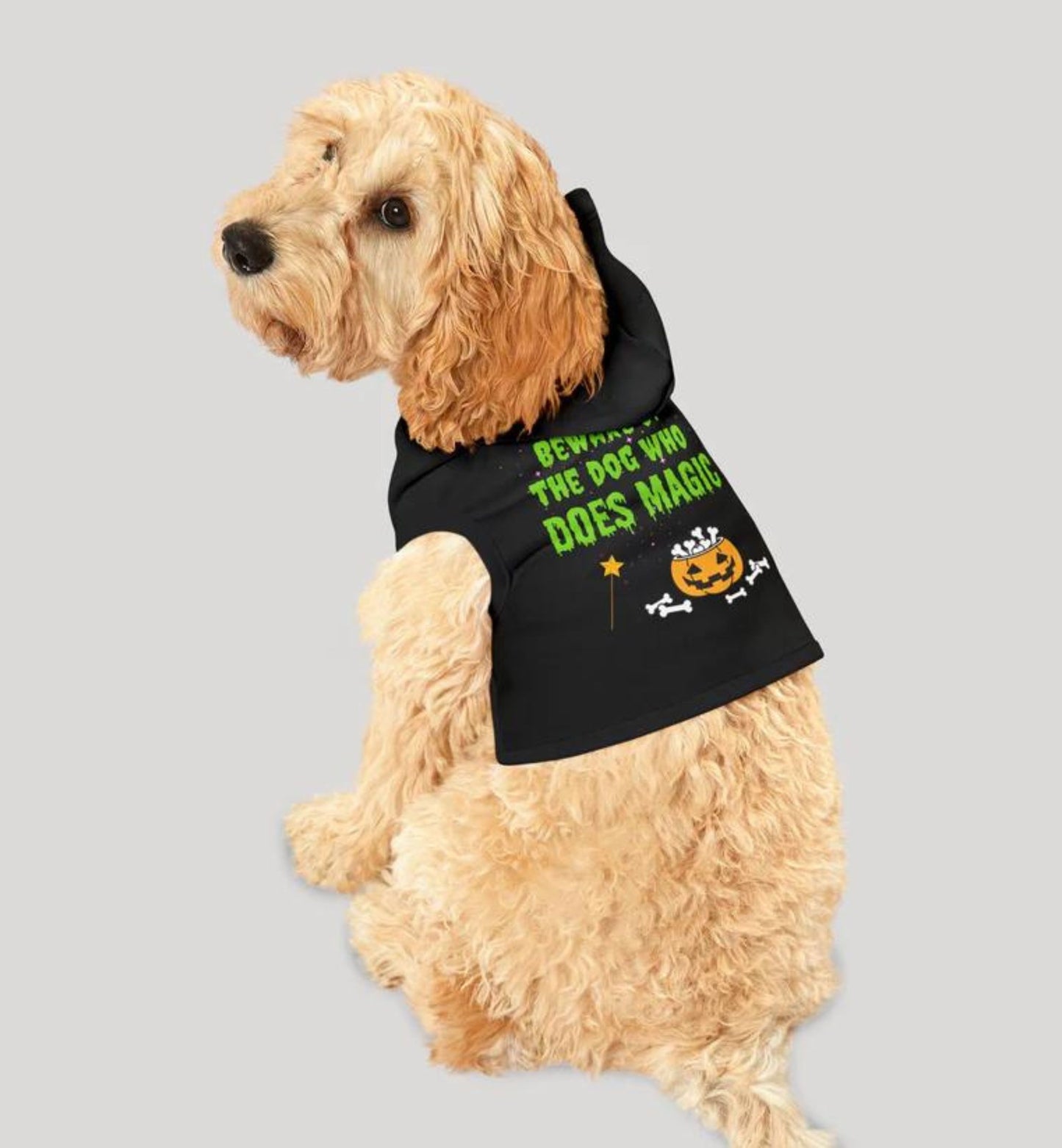 Pet Magic Hoodie