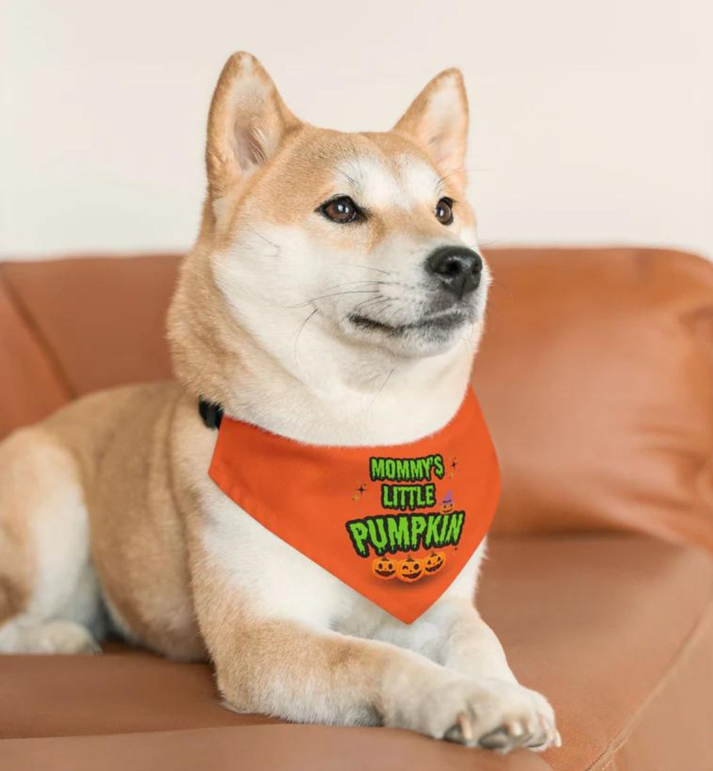 Pumpkin Bandana Collar
