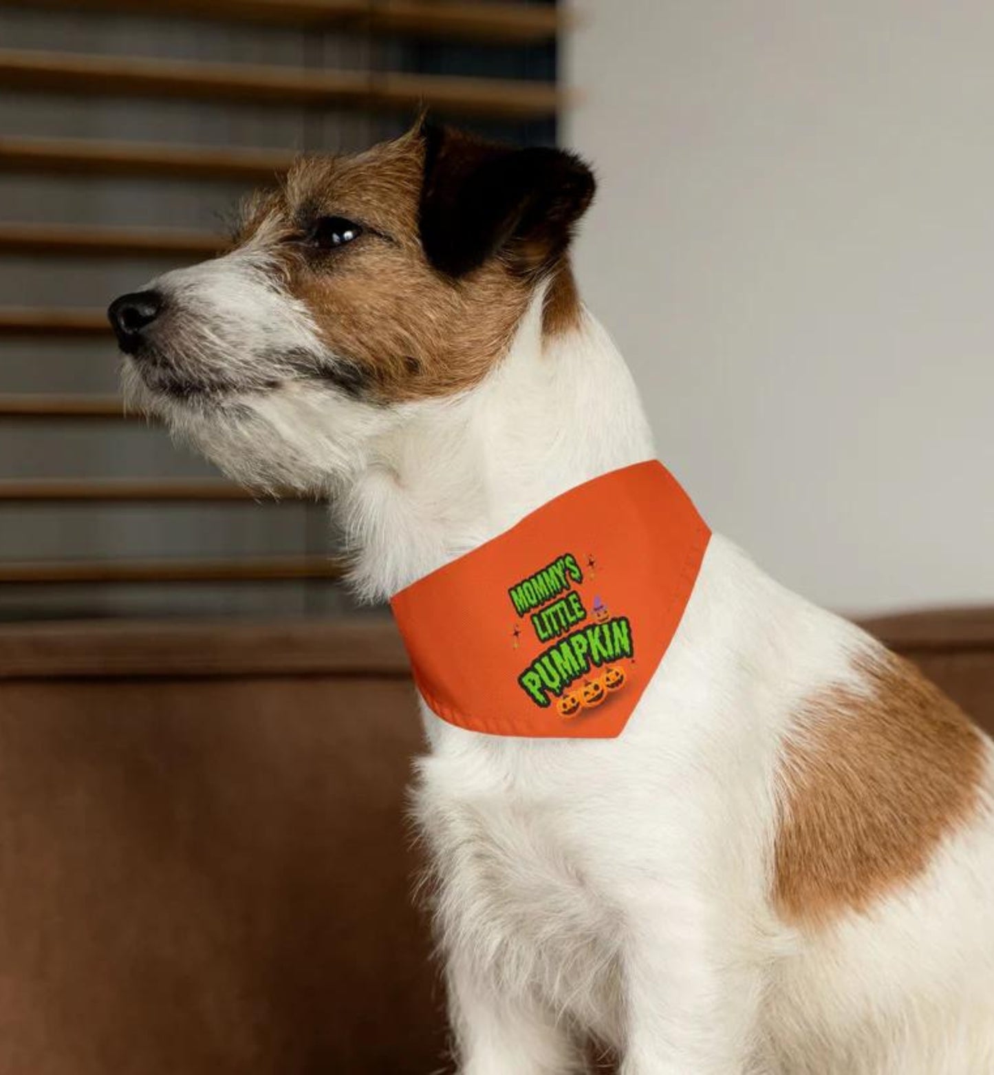 Pumpkin Bandana Collar