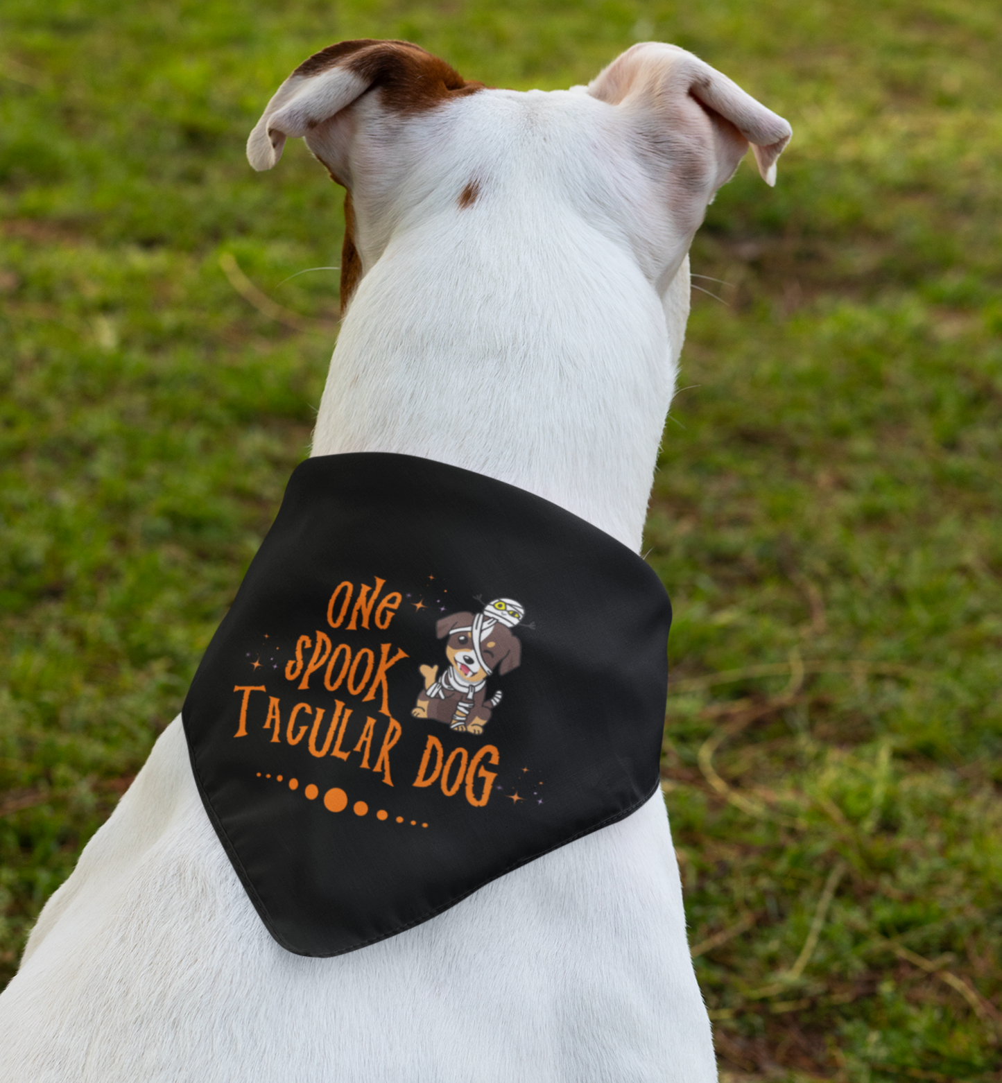 Spooktacular Dog Bandana Collar