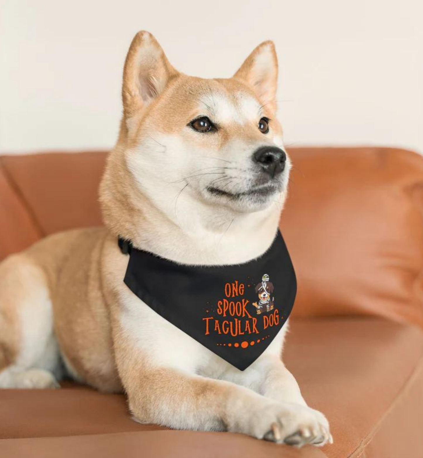 Spooktacular Dog Bandana Collar