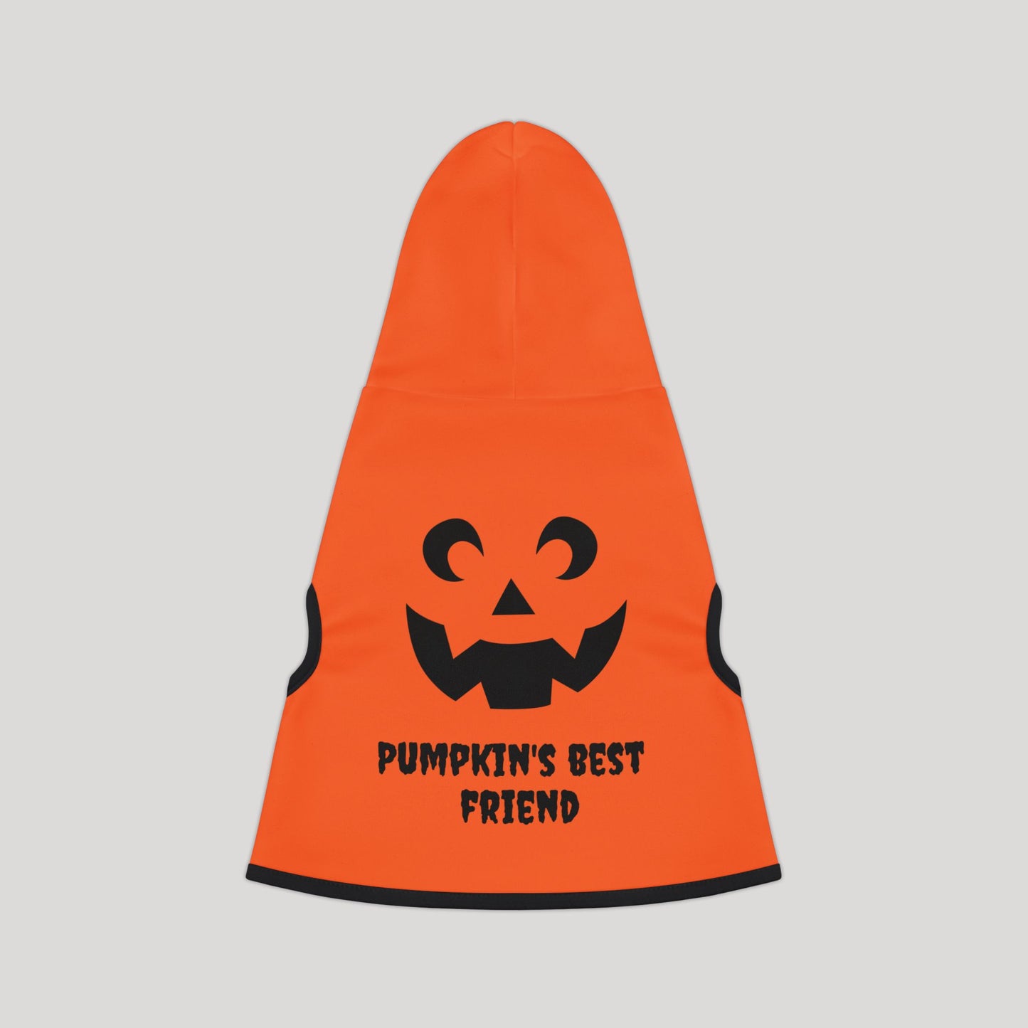 Pumpkin's Best Friend Pet Hoodie