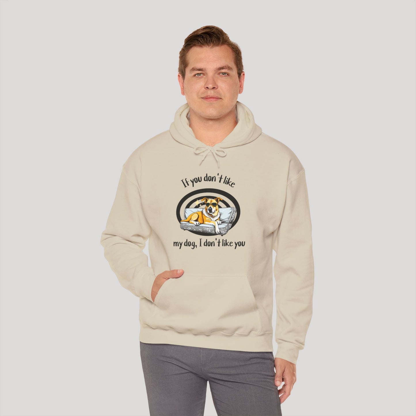 I Don't Like You Hoodie