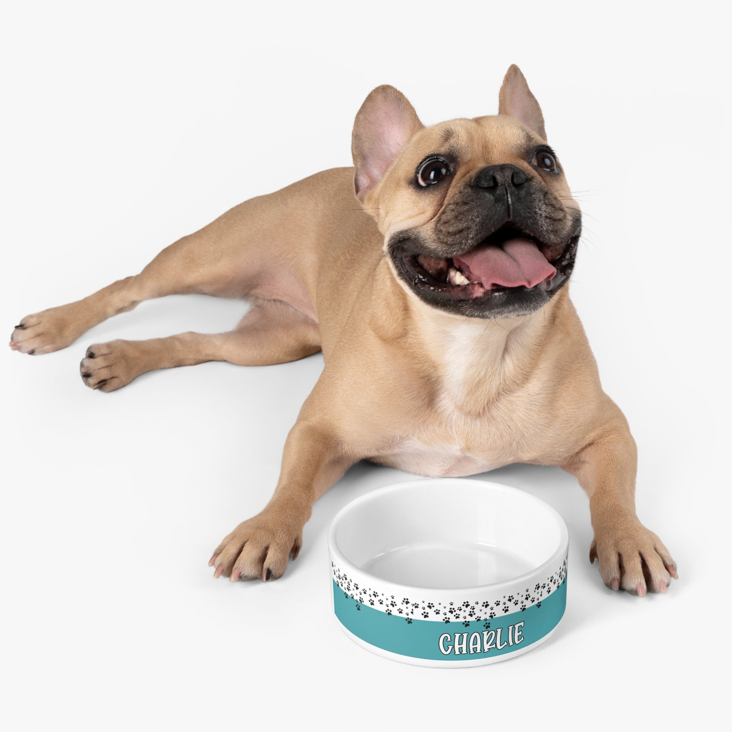 Personalized Pet Name Bowl