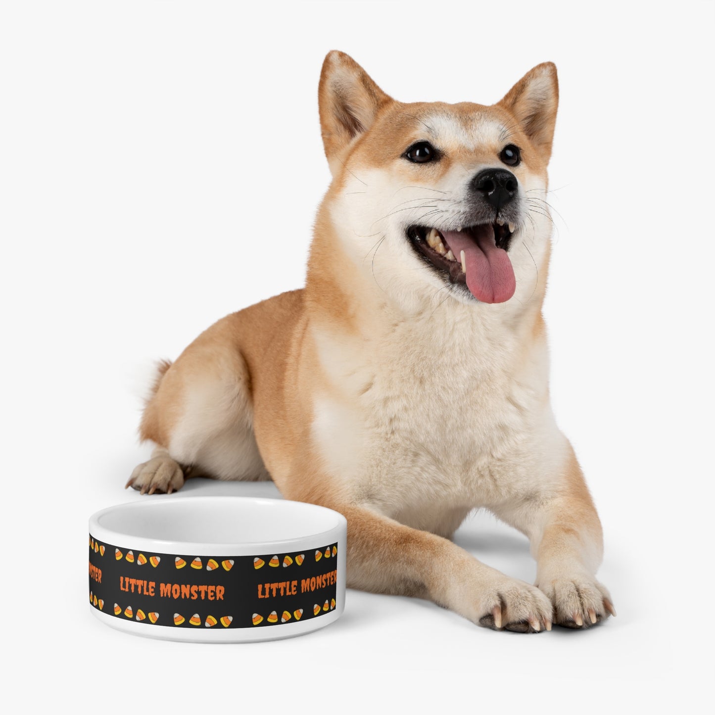 Little Monster Pet Bowl