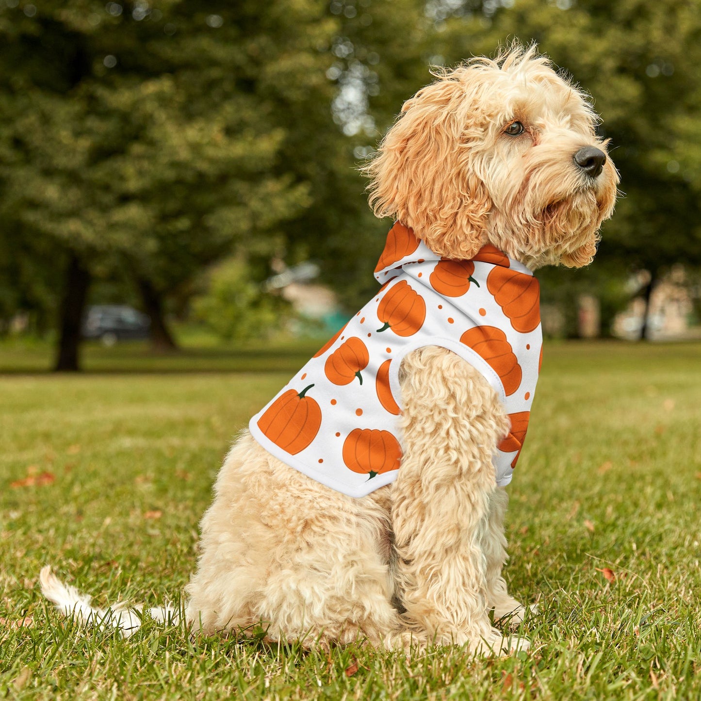Pumpkin Pet Hoodie