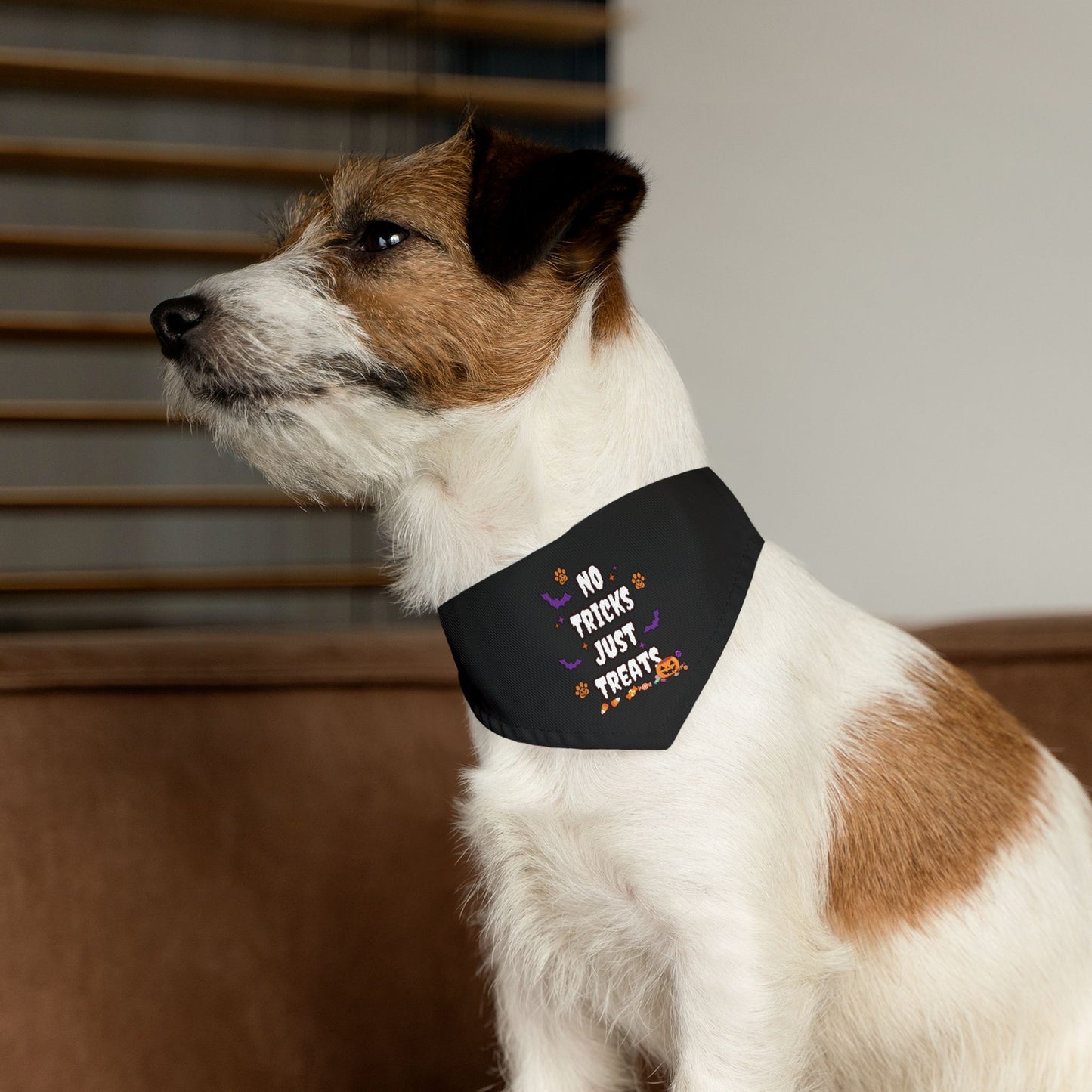 No Trick Pet Bandana