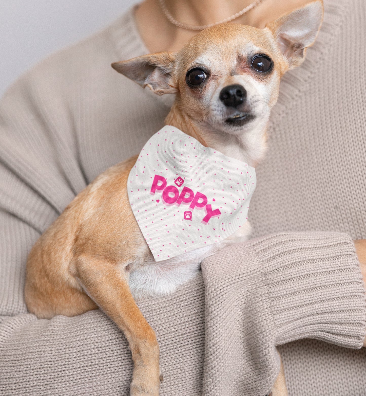 Personalized Pet Bandana Collar