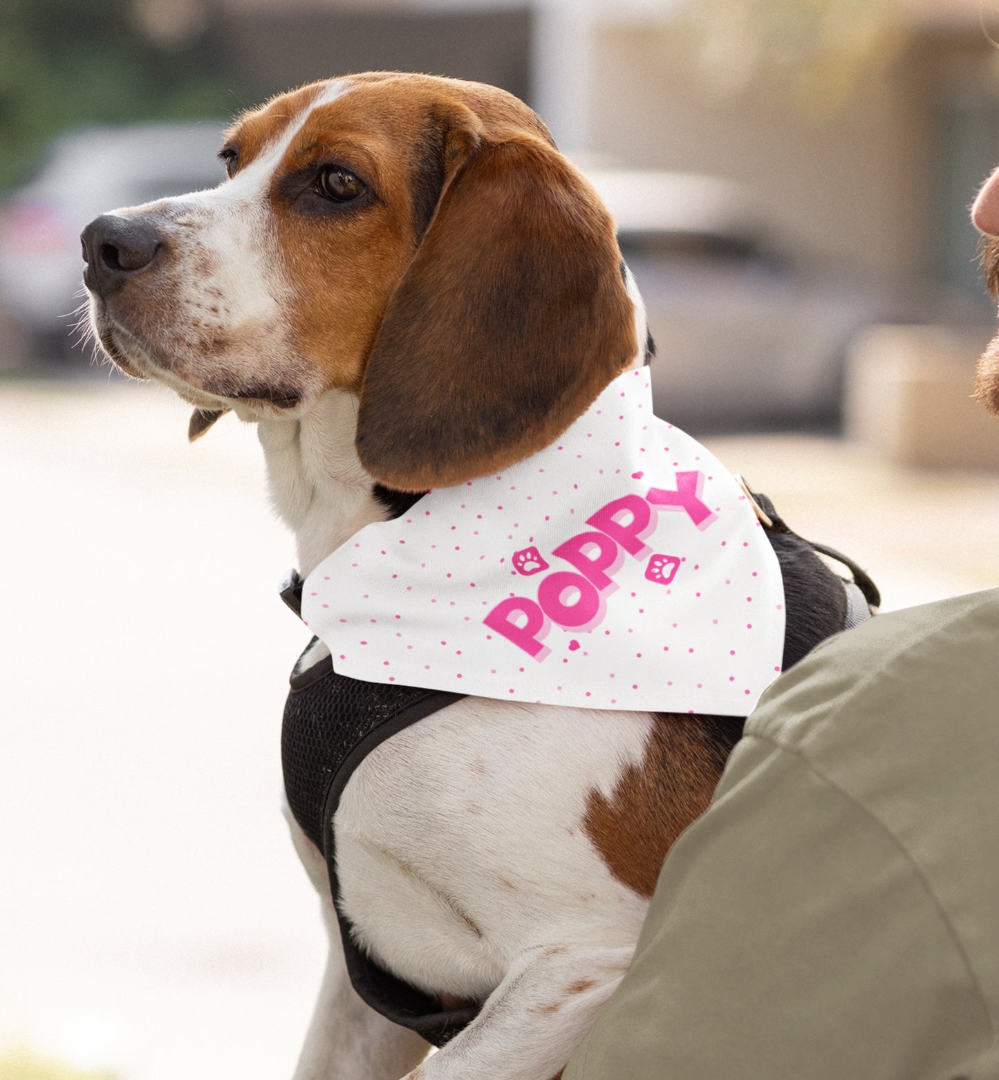 Personalized Pet Bandana Collar