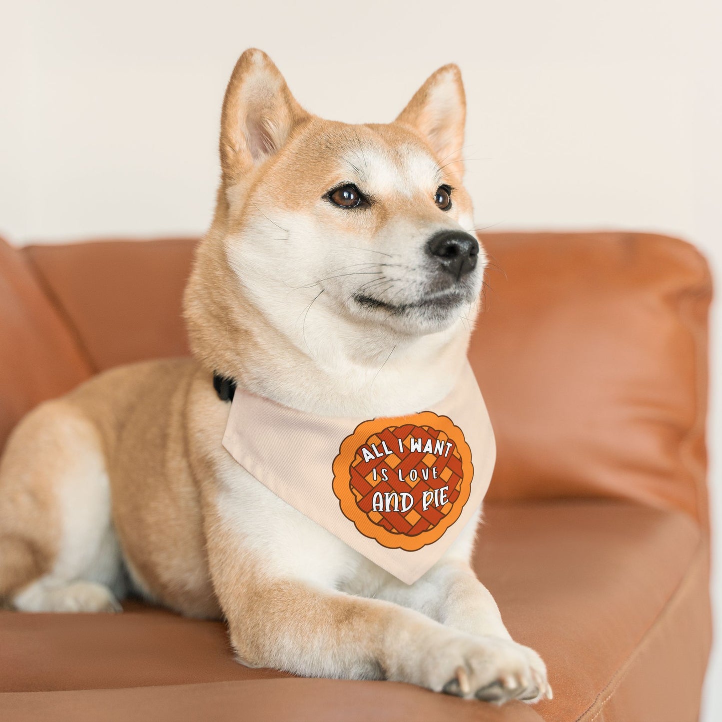 Love And Pie Bandana Collar