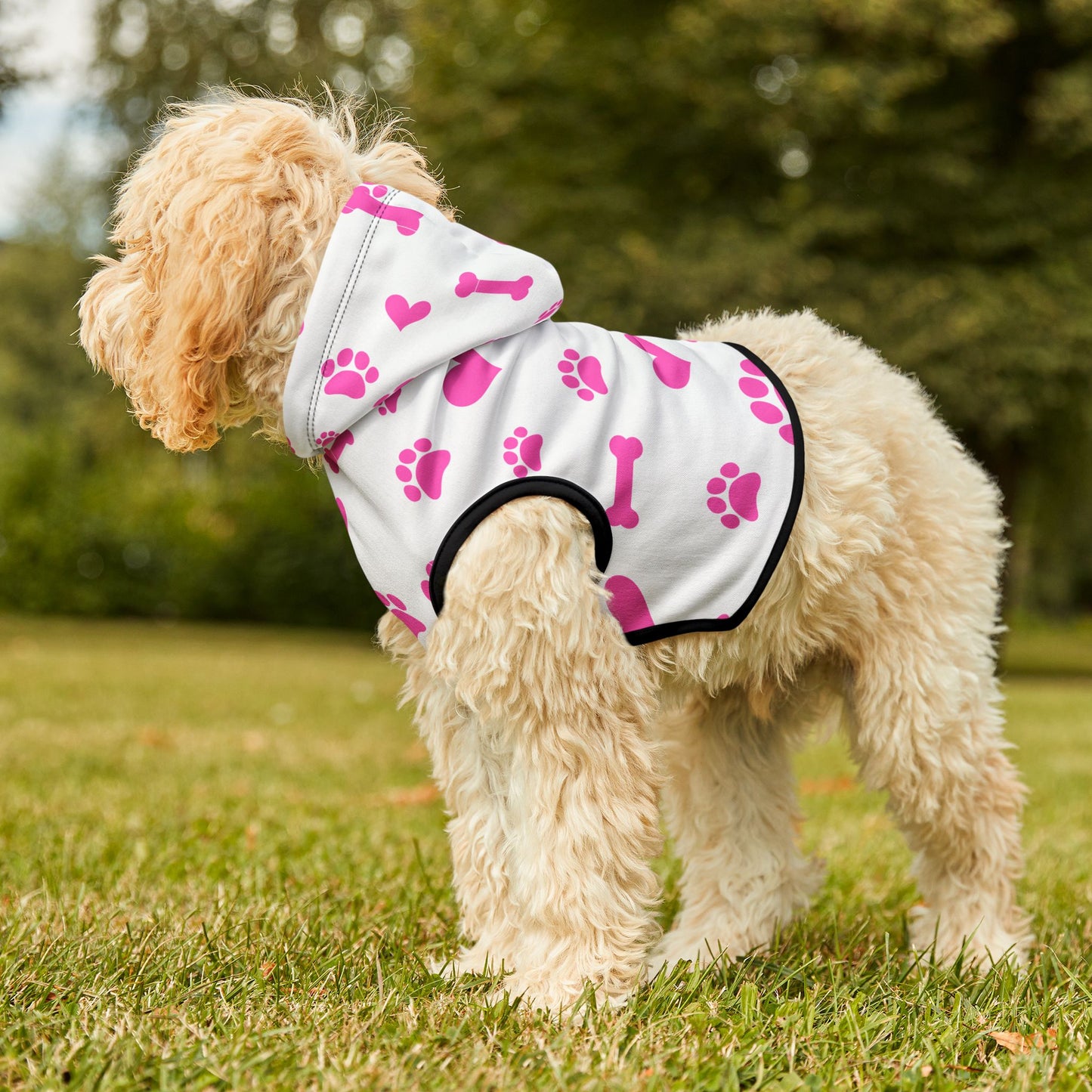 Pet Hoodie