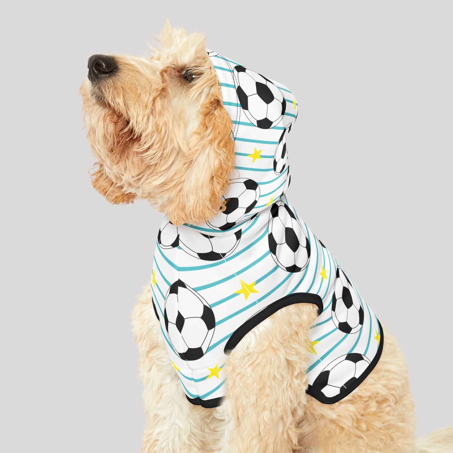 Pet Hoodie